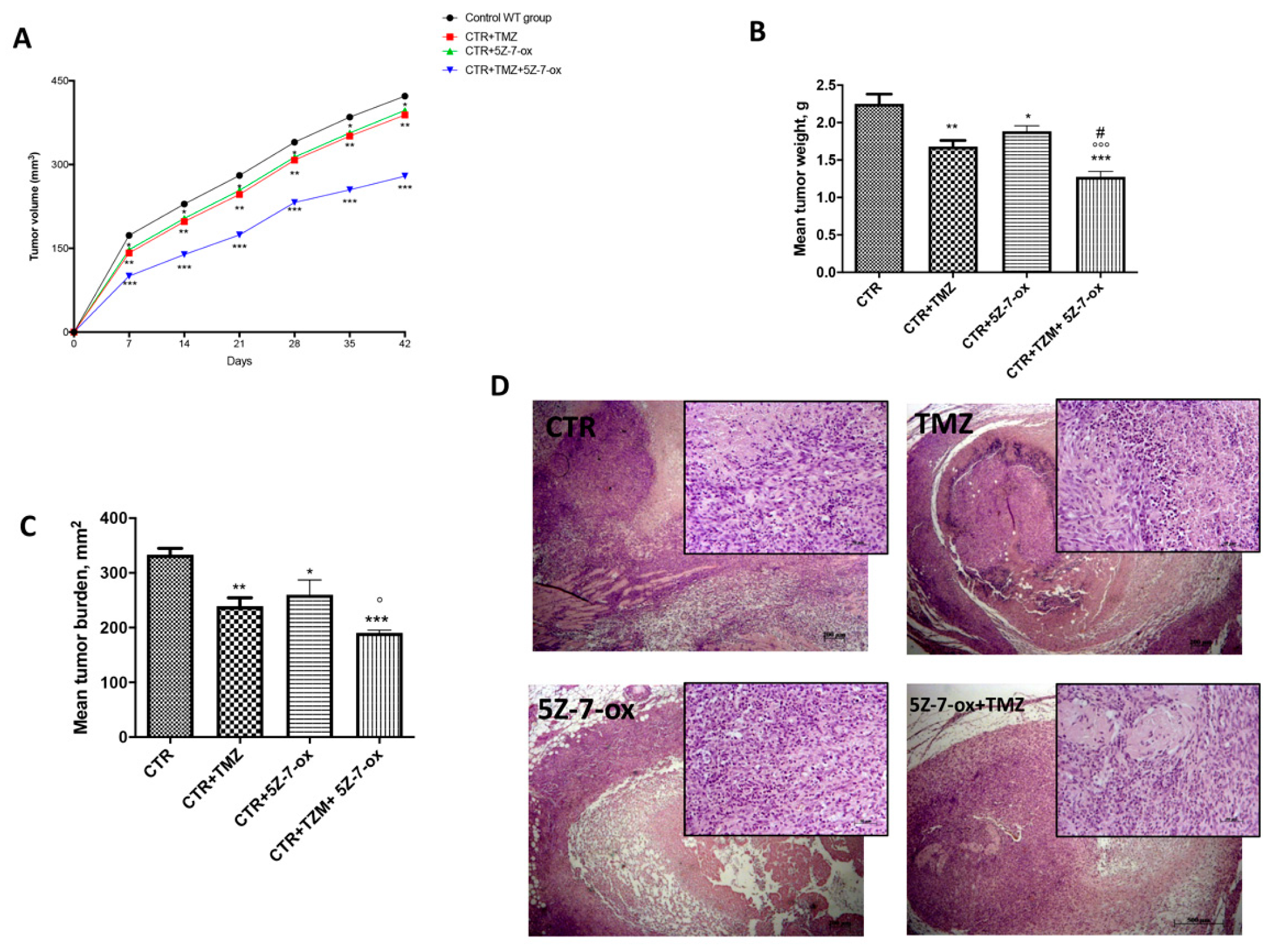 Cancers 13 00041 g006 Cancers 13 00041 g006