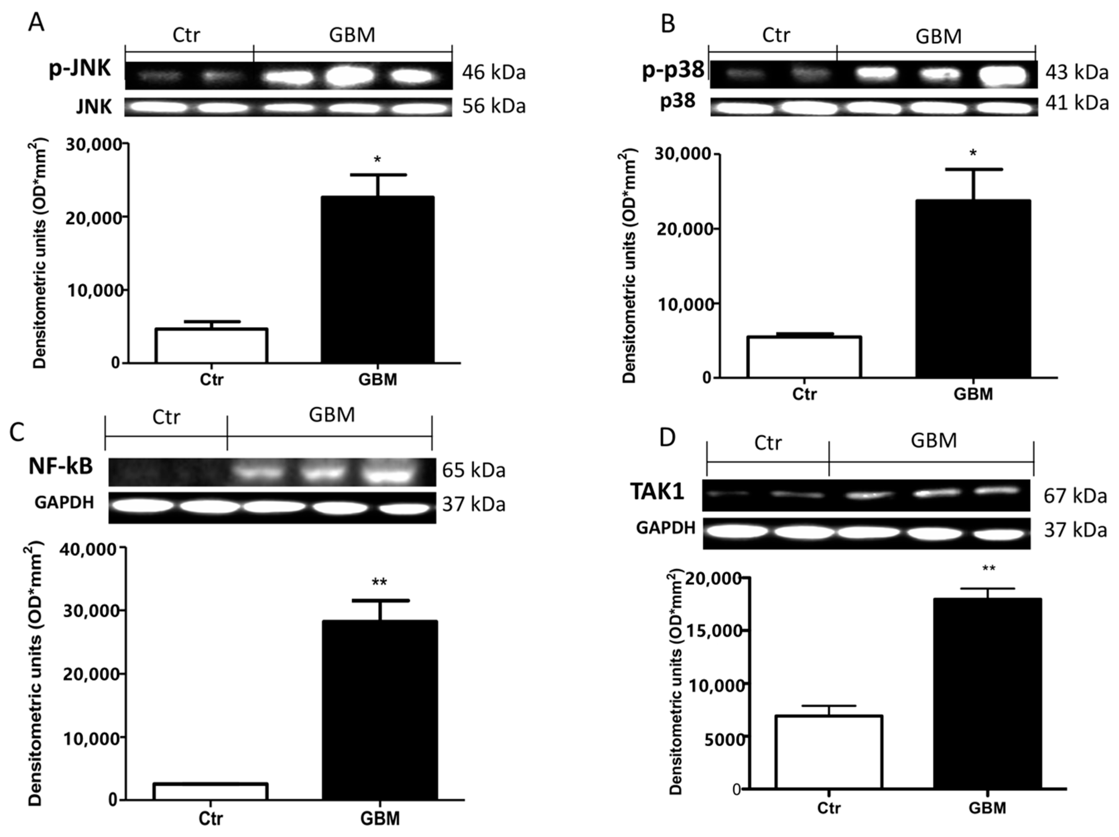 Cancers 13 00041 g008 Cancers 13 00041 g008