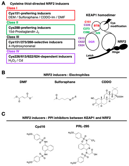 The KEAP1–NRF2 System as a Molecular Target of Cancer Treatment The KEAP1–NRF2 System as a Molecular Target of Cancer Treatment