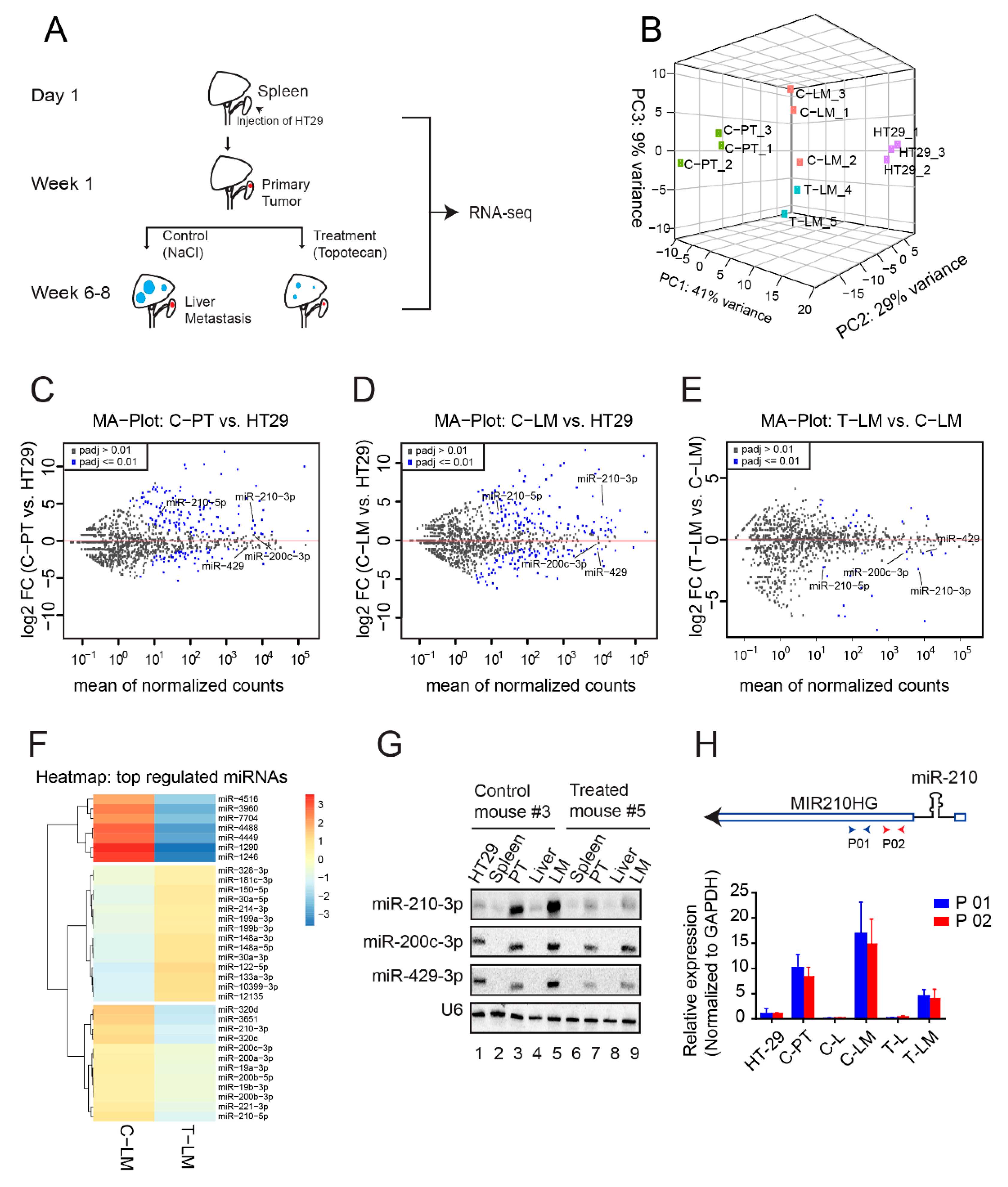 Cancers 13 00049 g001