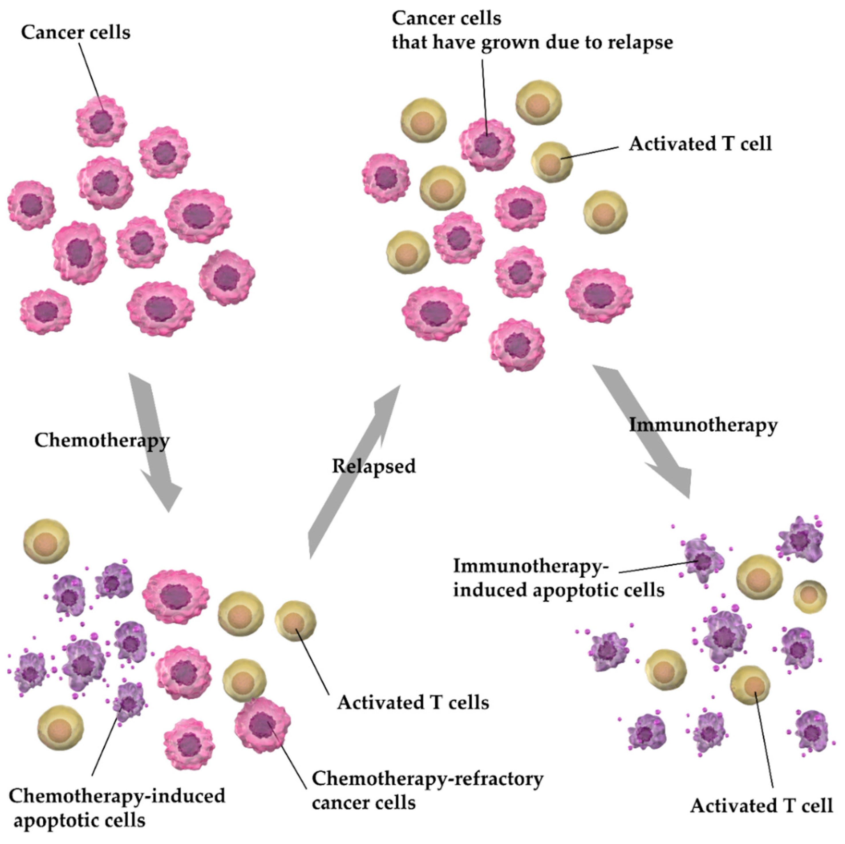 Cancers 13 00052 g012 Cancers 13 00052 g012