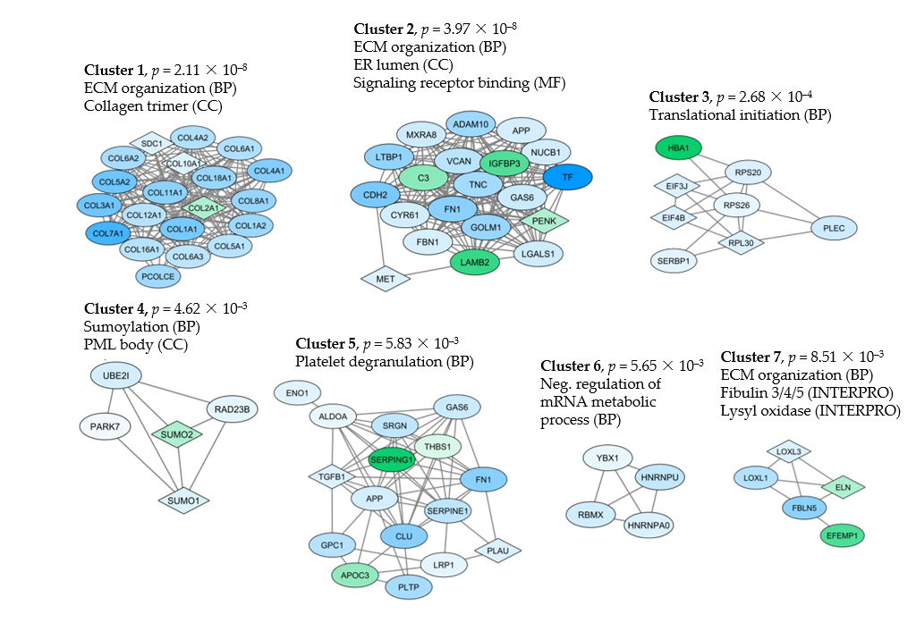 Cancers 13 00062 g003 Cancers 13 00062 g003