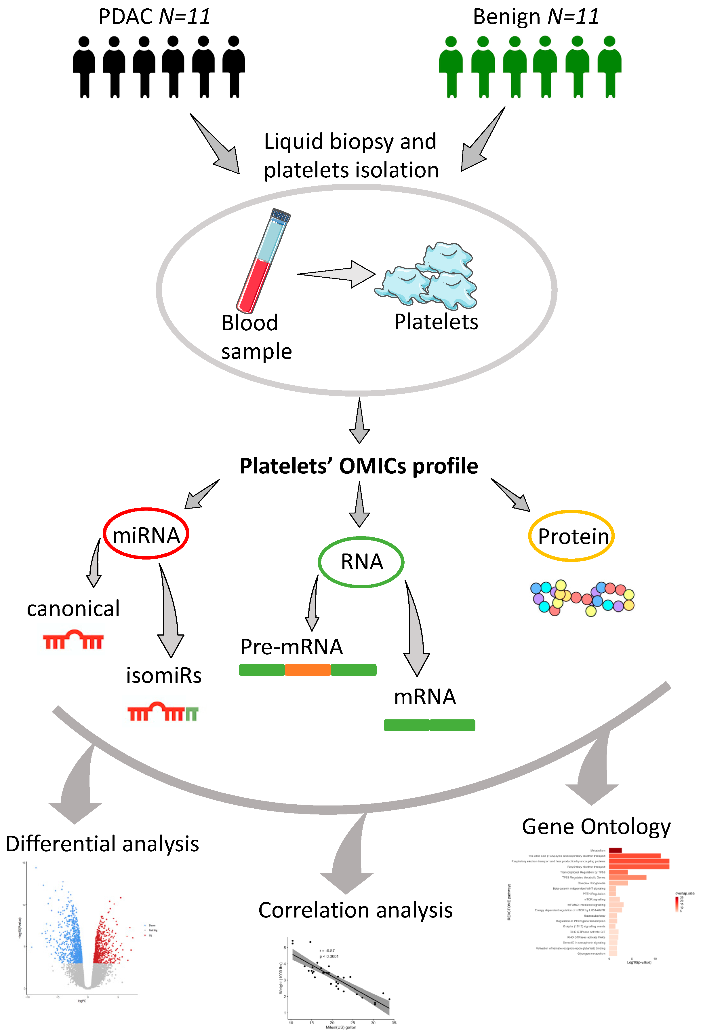 Cancers 13 00066 g001 Cancers 13 00066 g001