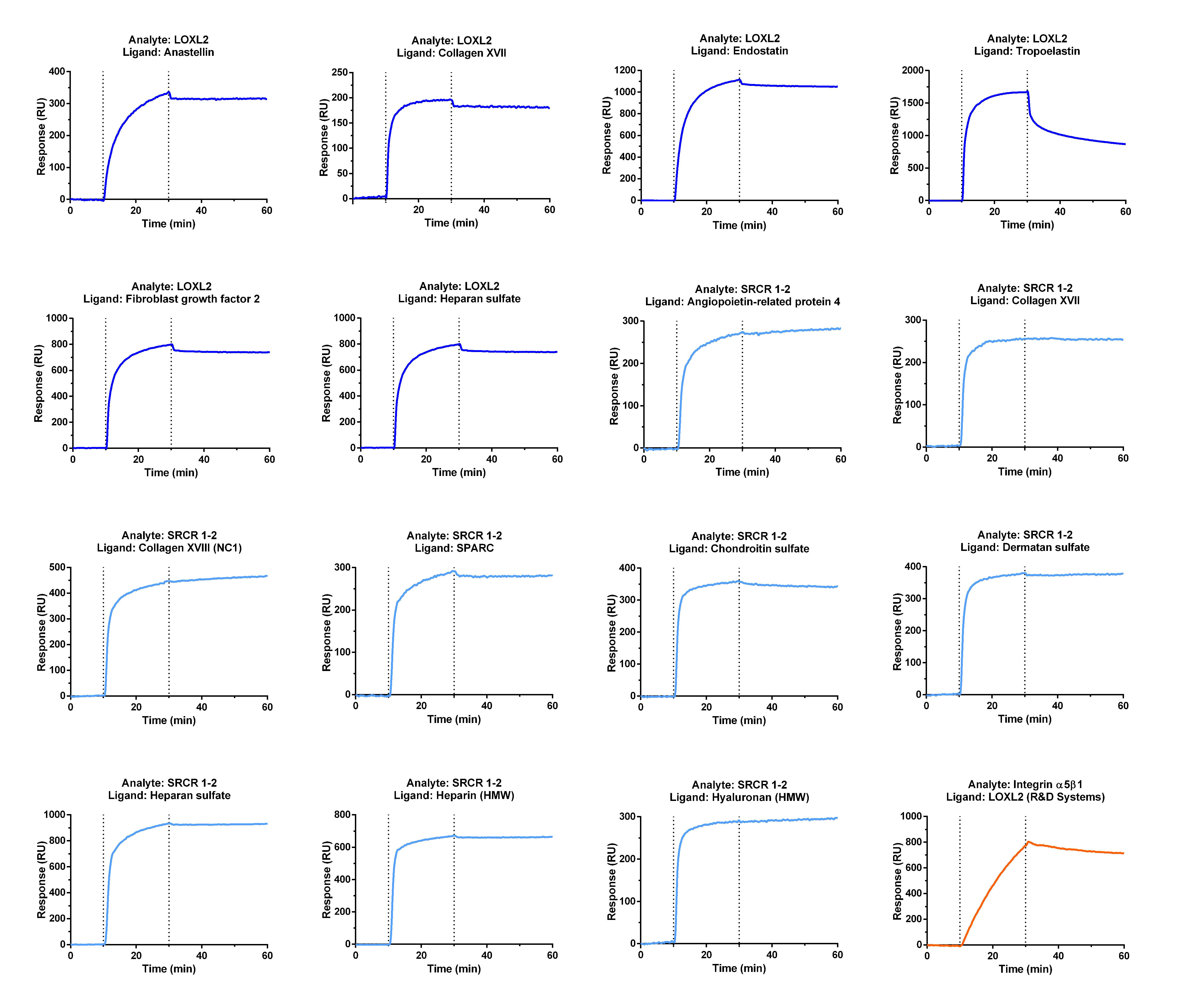 Cancers 13 00071 g001 Cancers 13 00071 g001