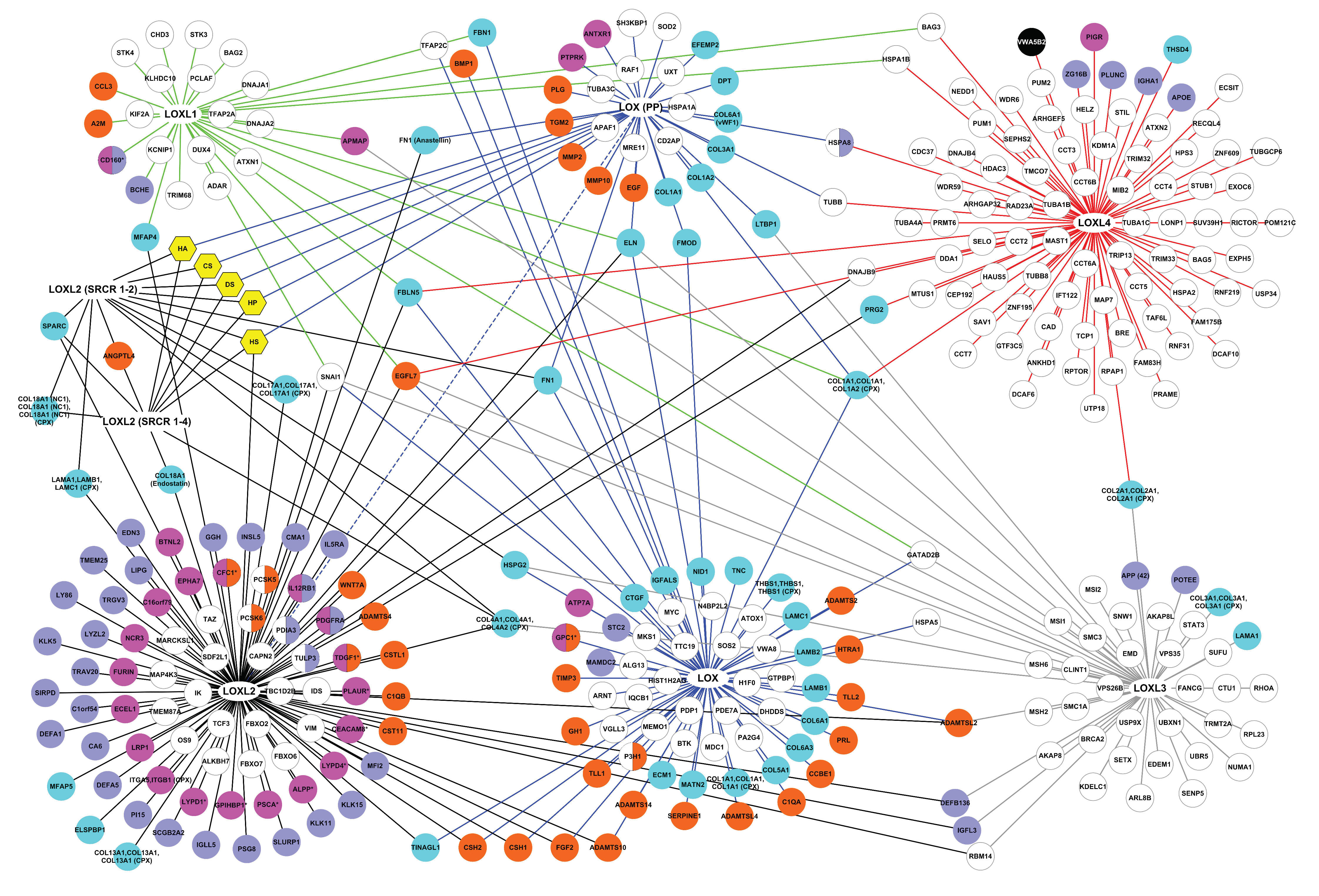 Cancers 13 00071 g002 Cancers 13 00071 g002