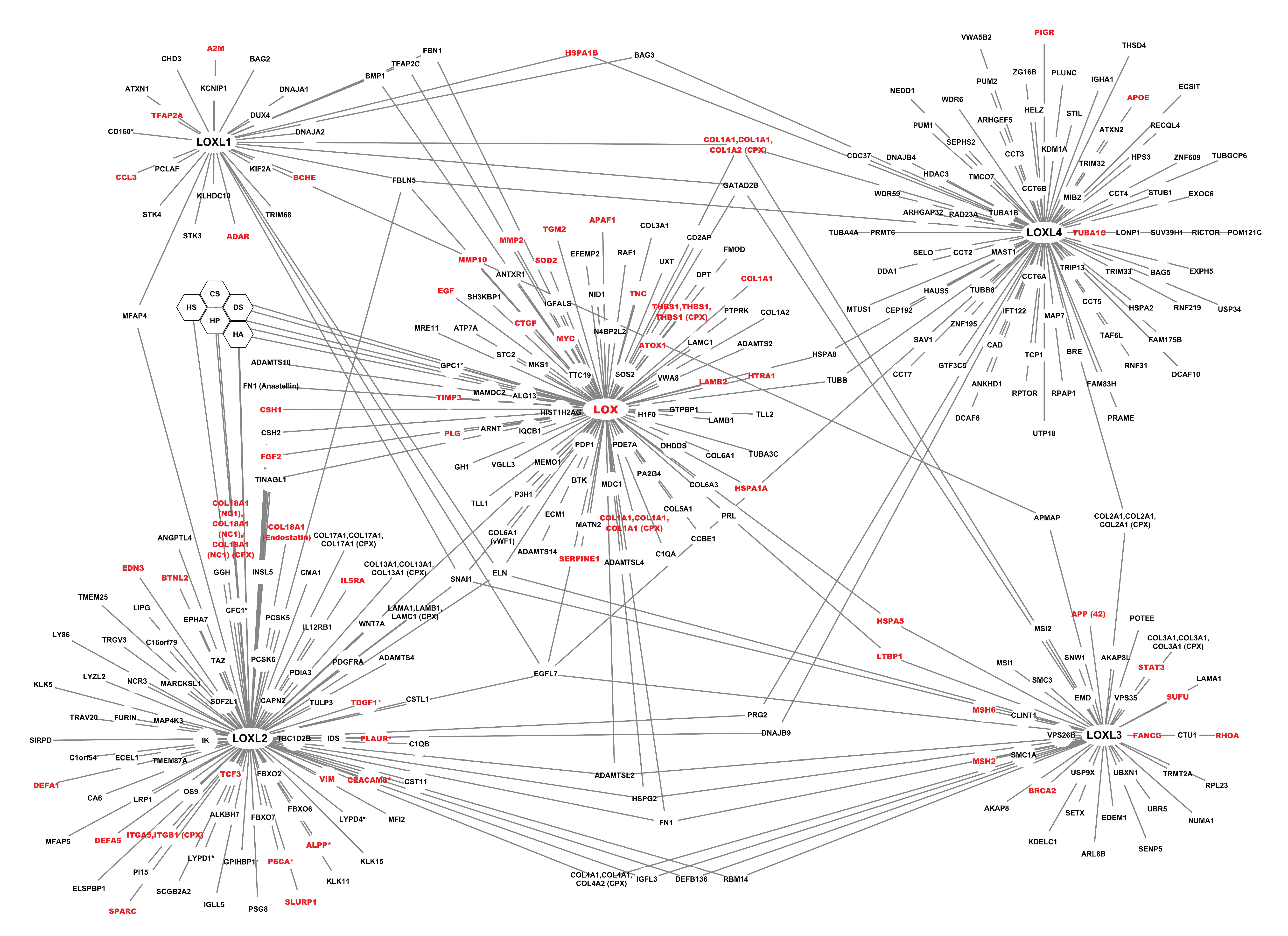 Cancers 13 00071 g008 Cancers 13 00071 g008