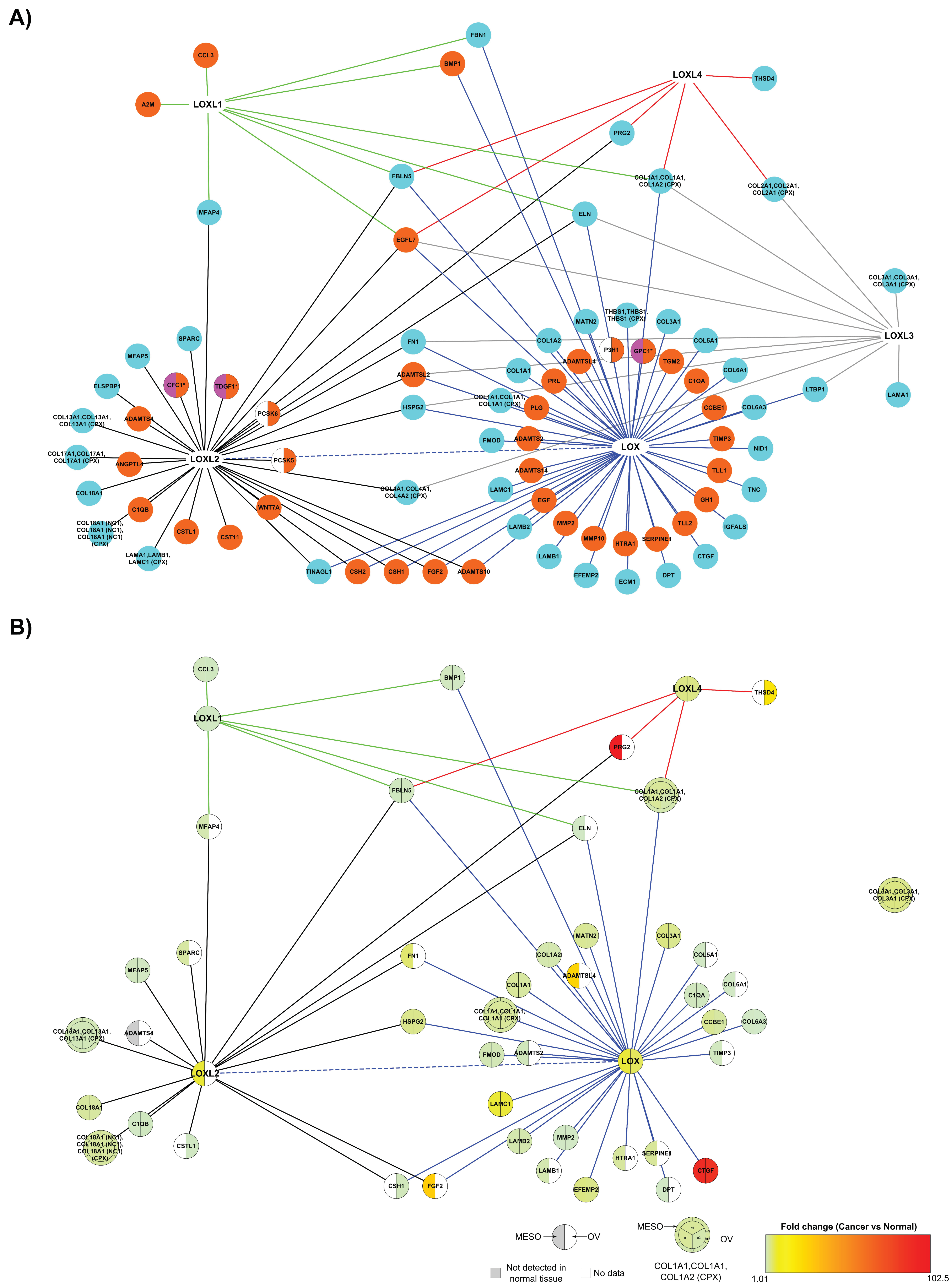 Cancers 13 00071 g010 Cancers 13 00071 g010