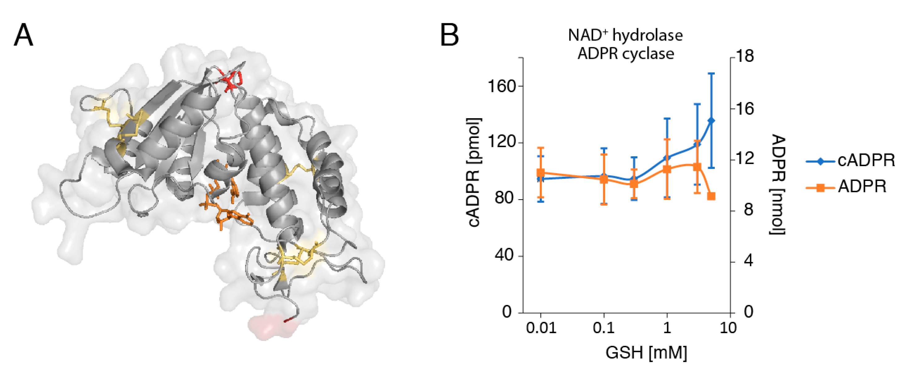 Cancers 13 00076 g004 Cancers 13 00076 g004