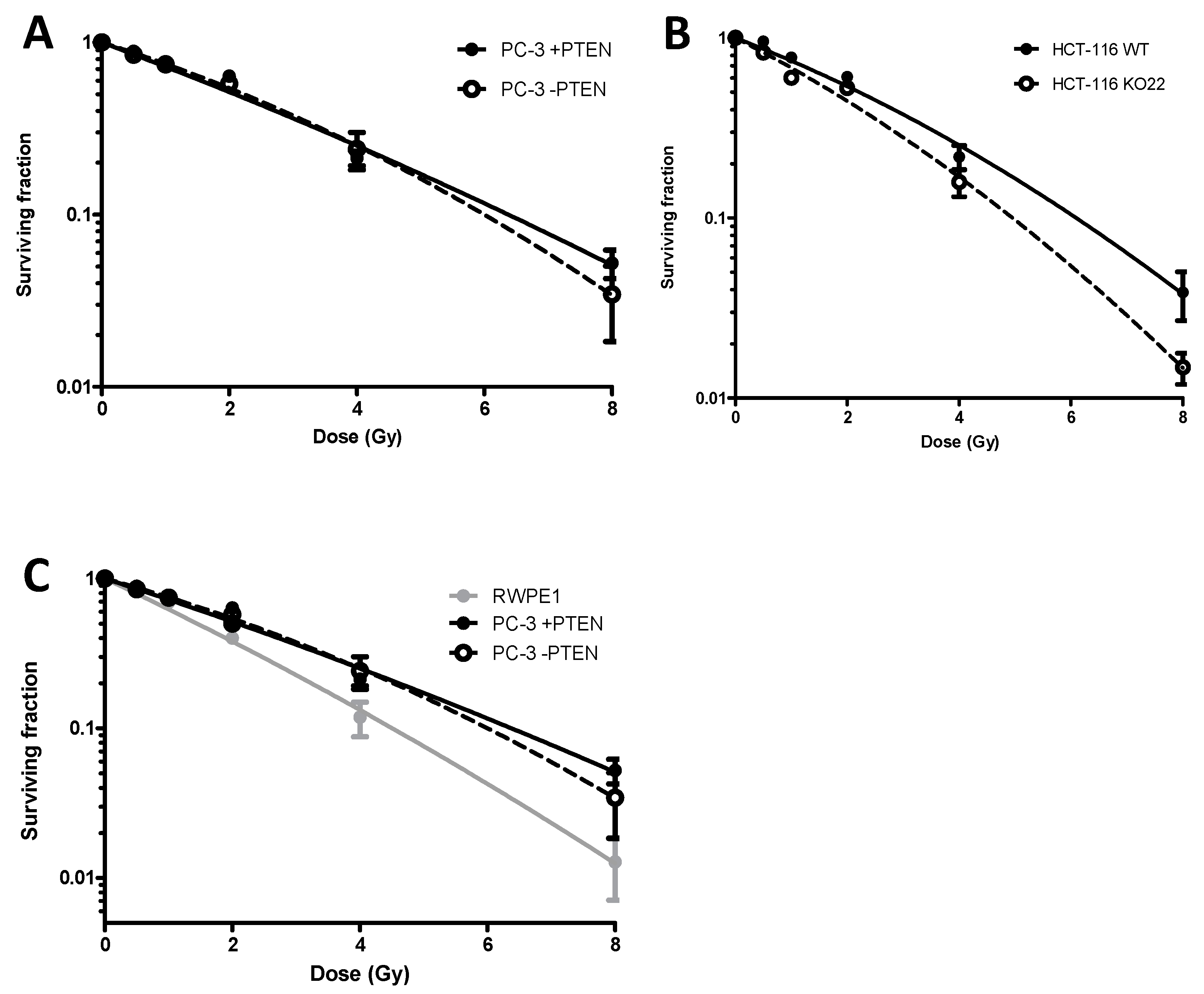 Cancers 13 00079 g001
