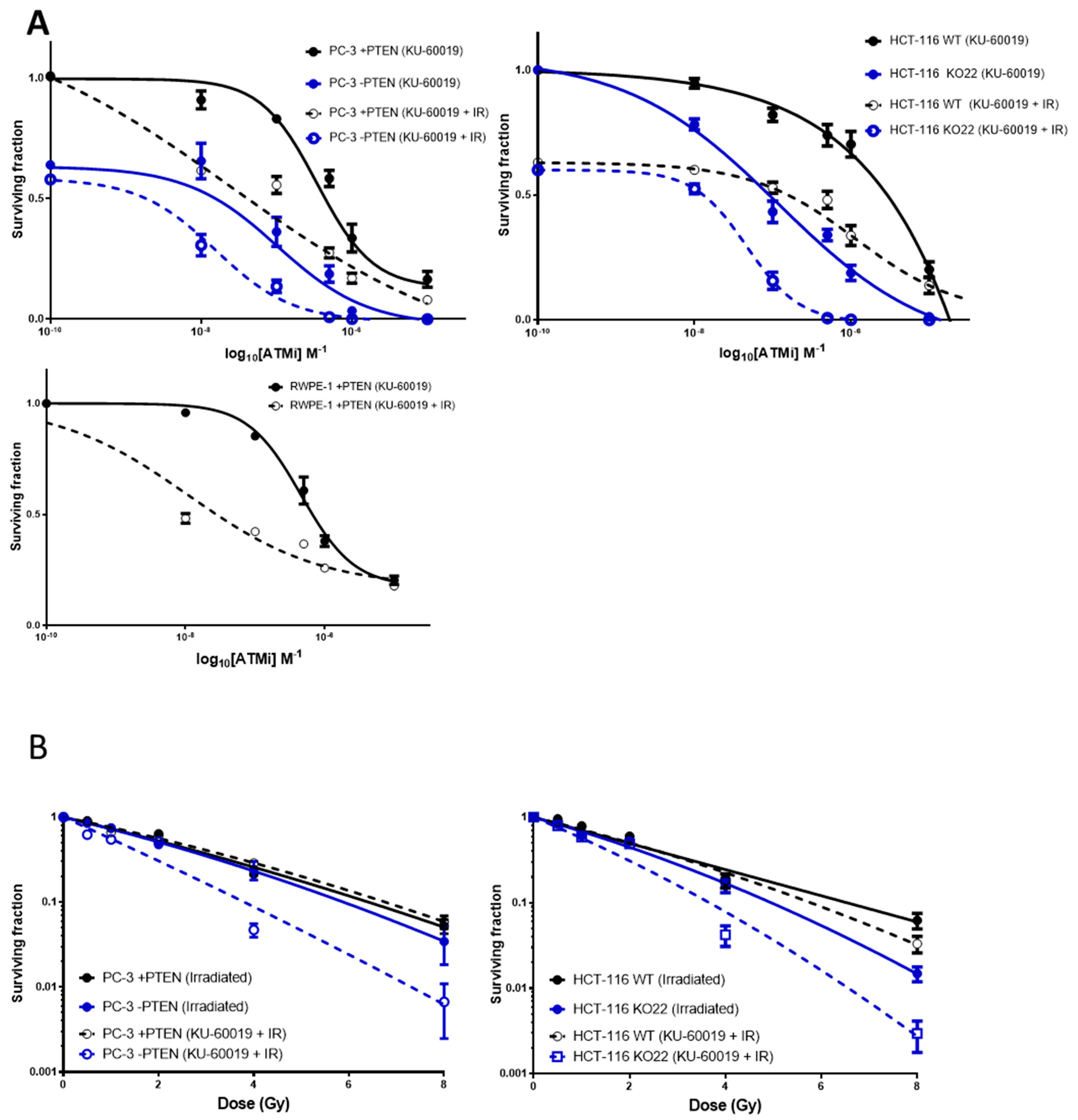 Cancers 13 00079 g002