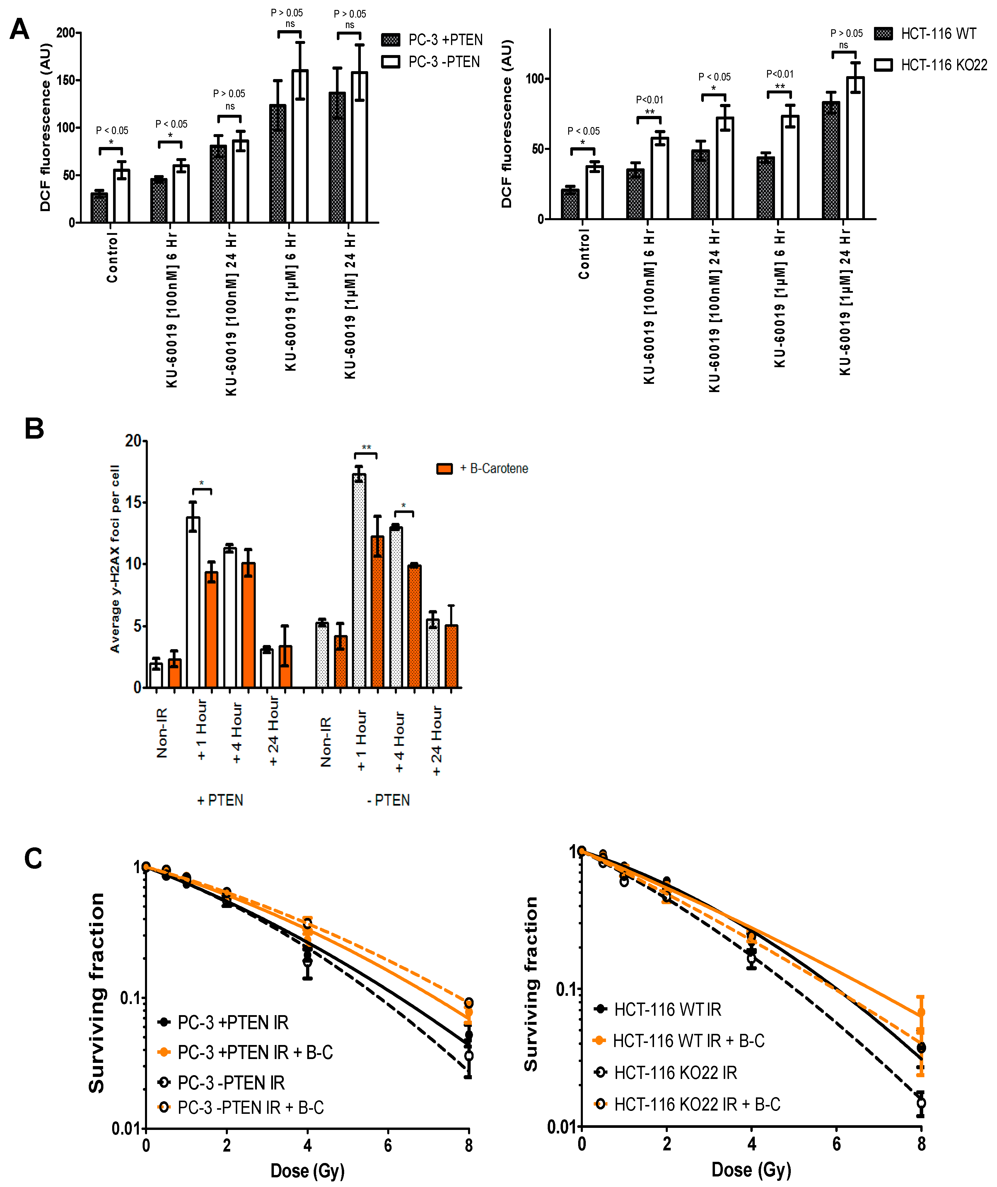 Cancers 13 00079 g005