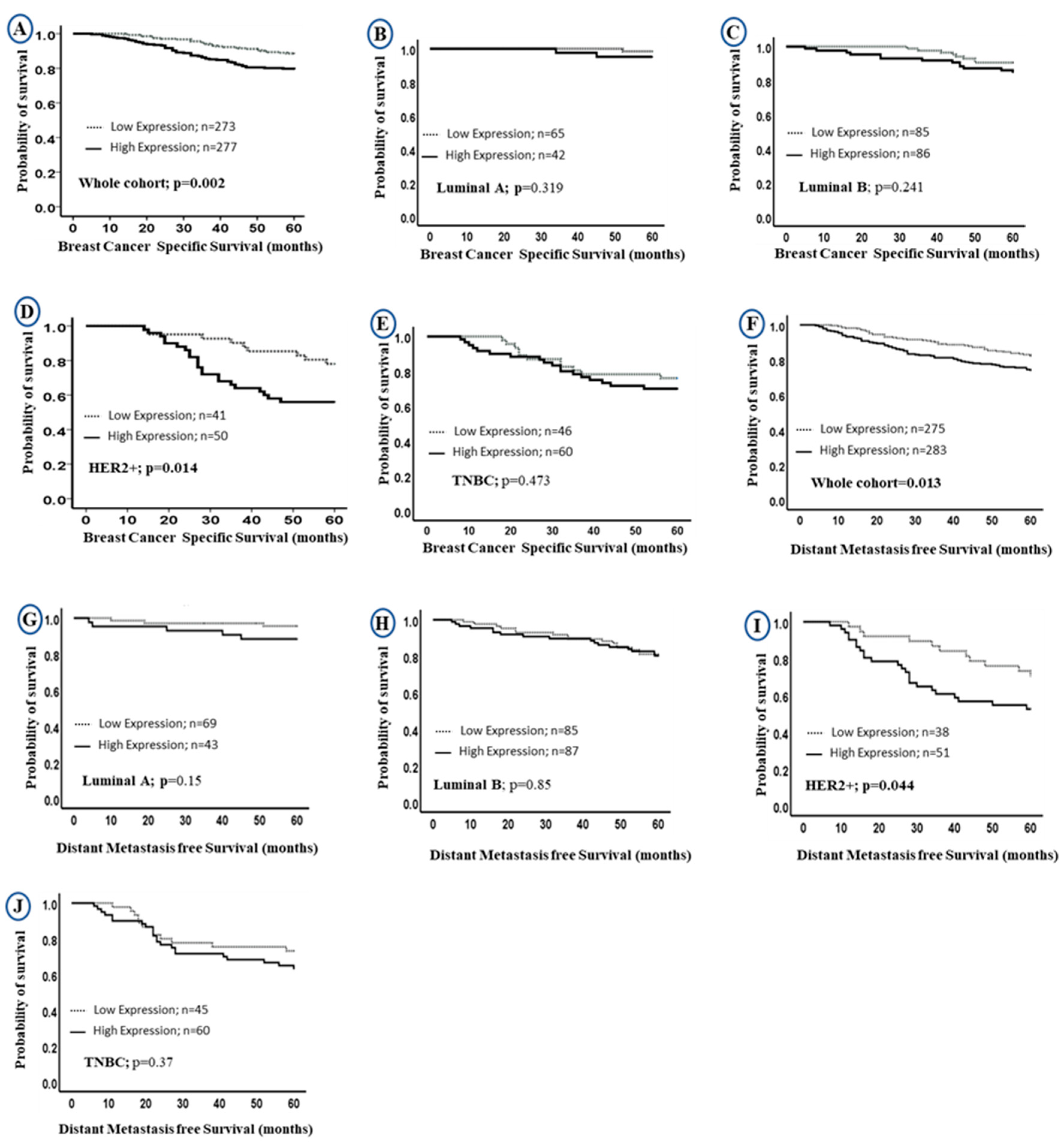 Cancers 13 00080 g003 Cancers 13 00080 g003