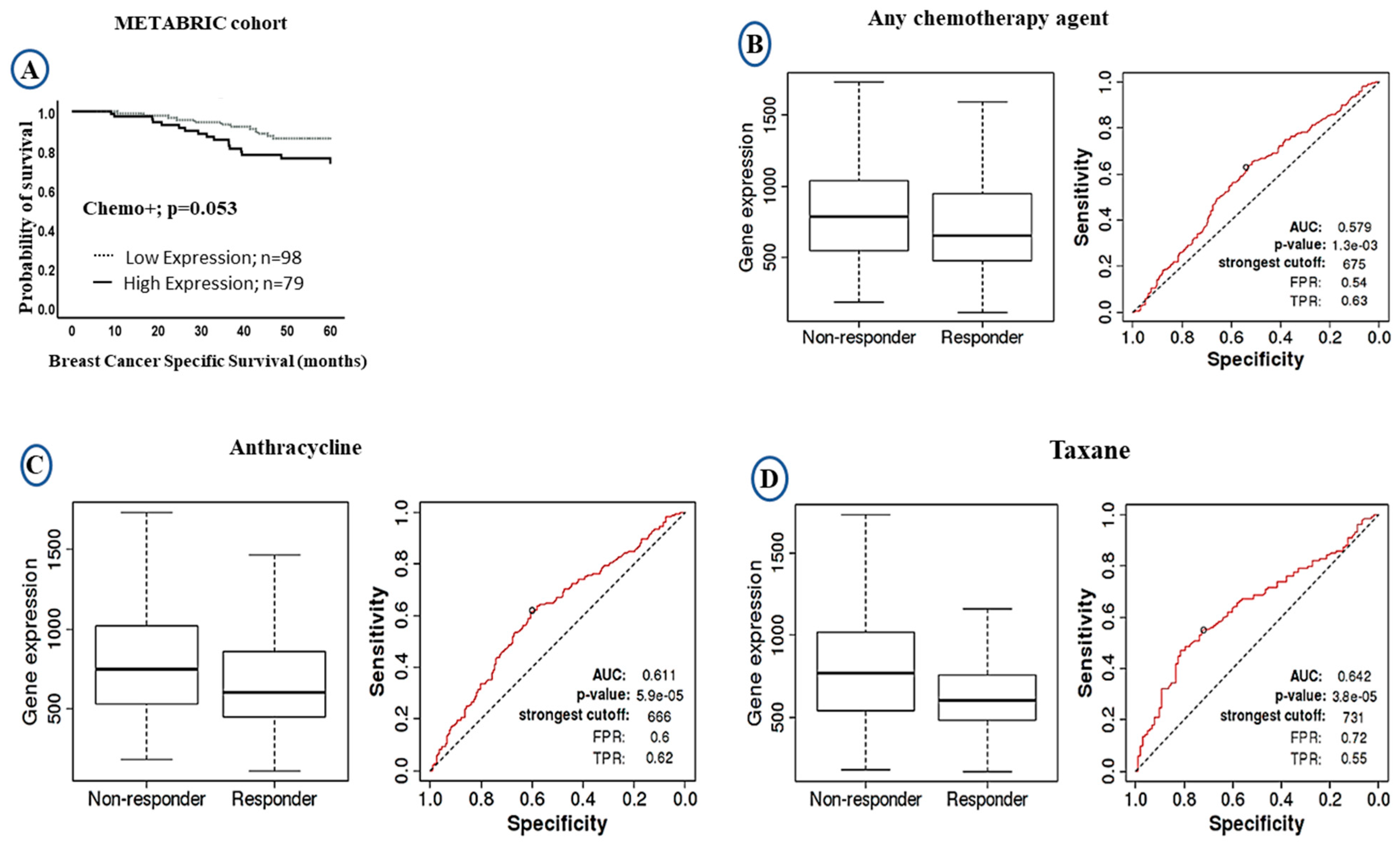 Cancers 13 00080 g004 Cancers 13 00080 g004
