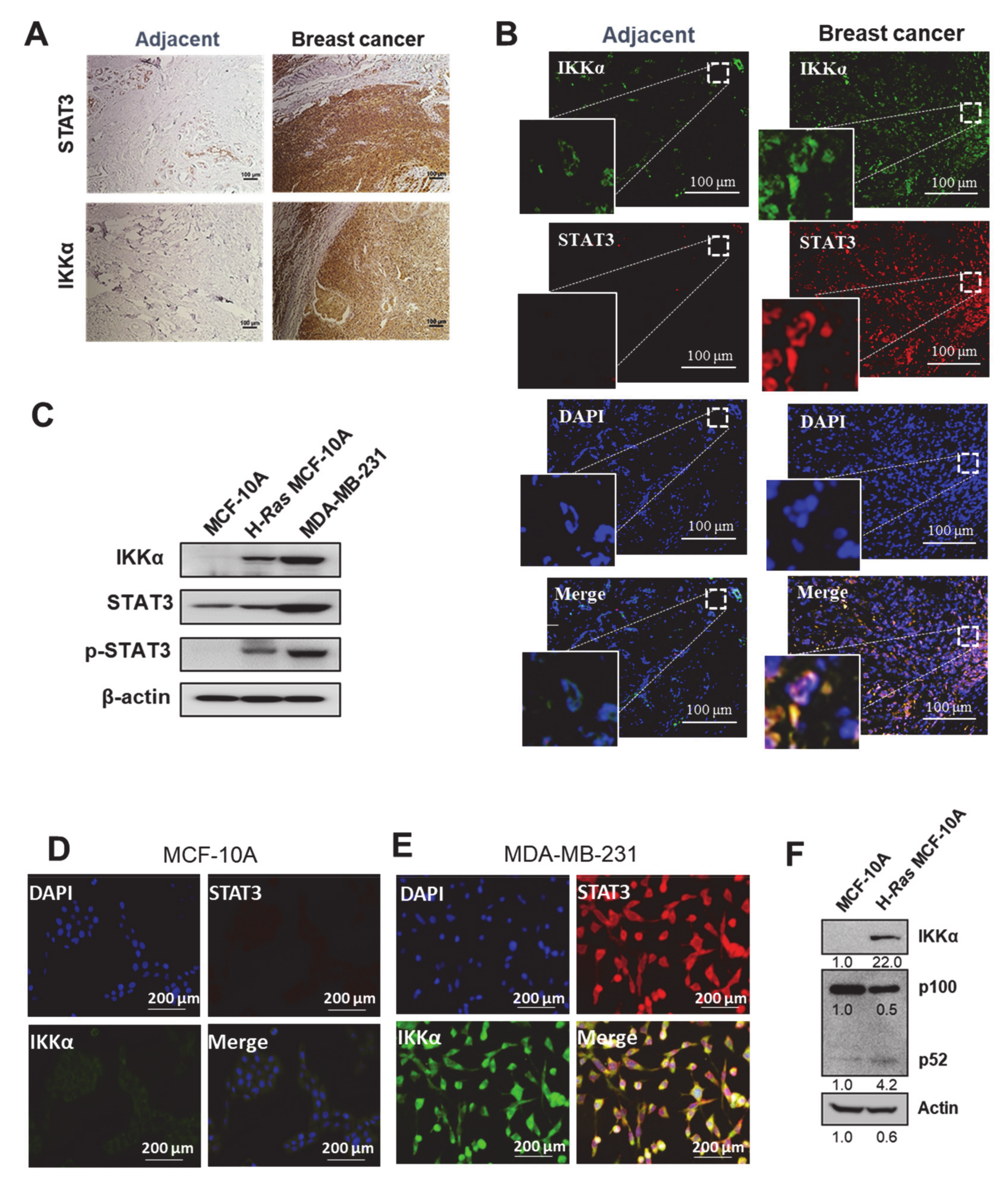Cancers 13 00082 g001
