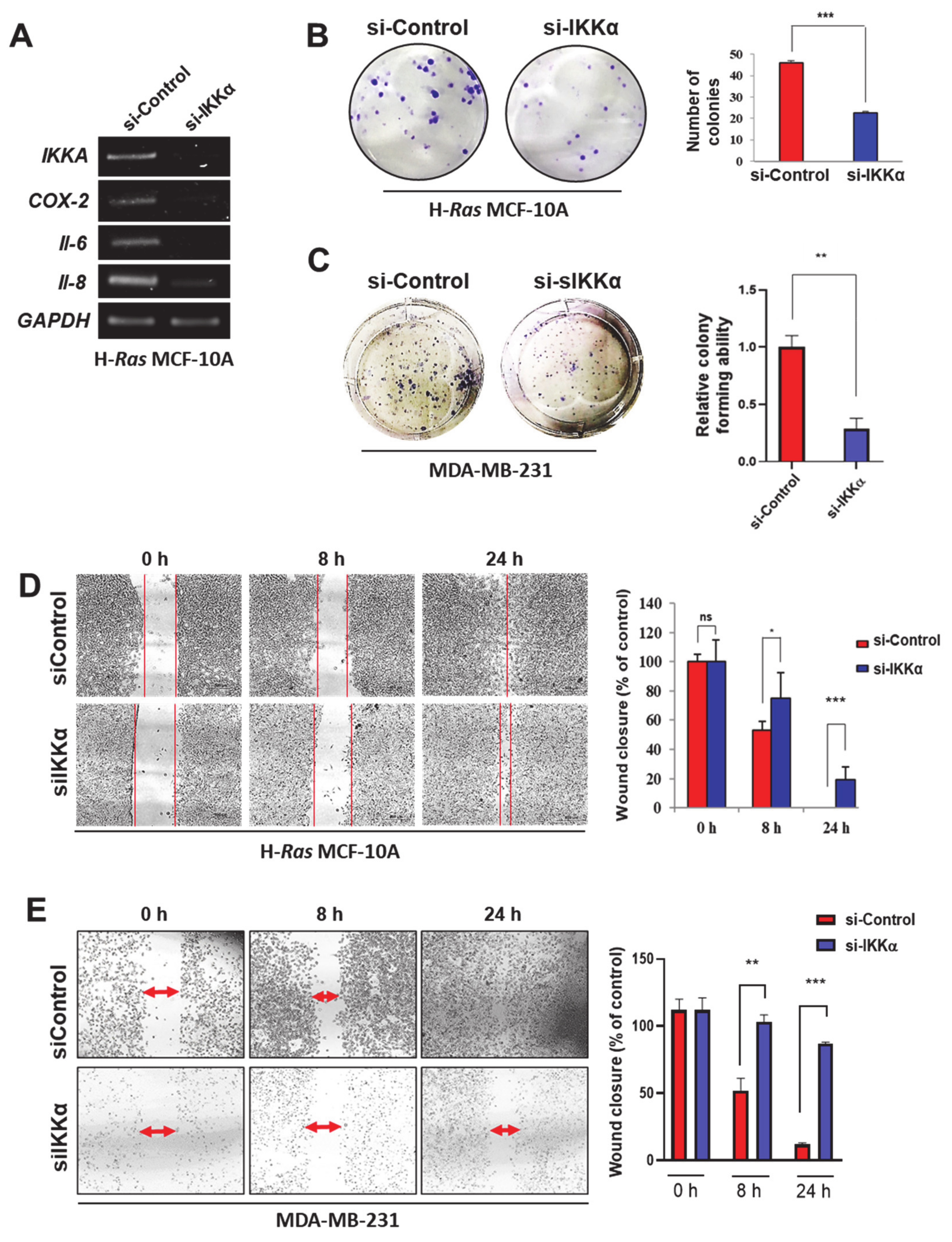 Cancers 13 00082 g002