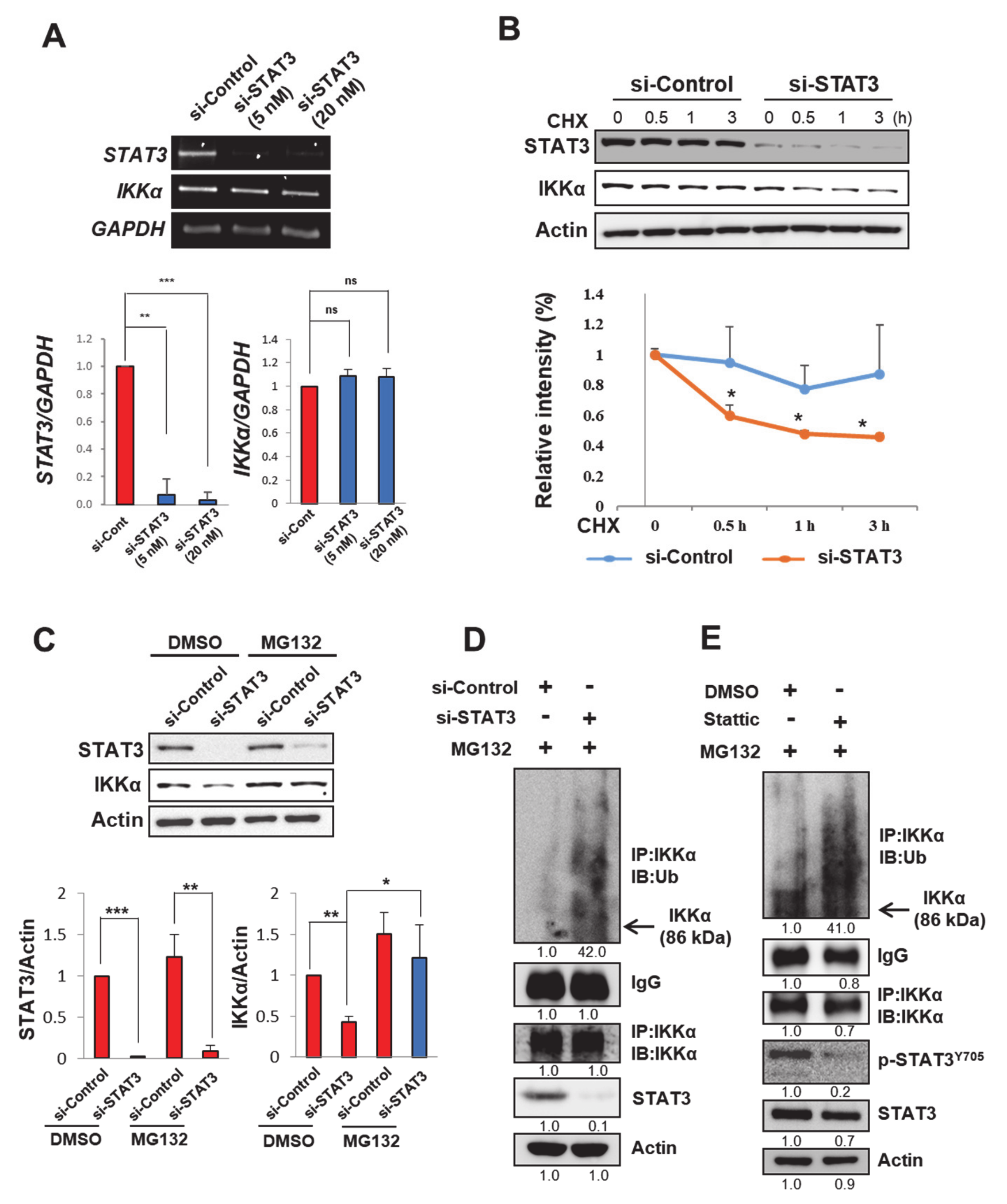 Cancers 13 00082 g004
