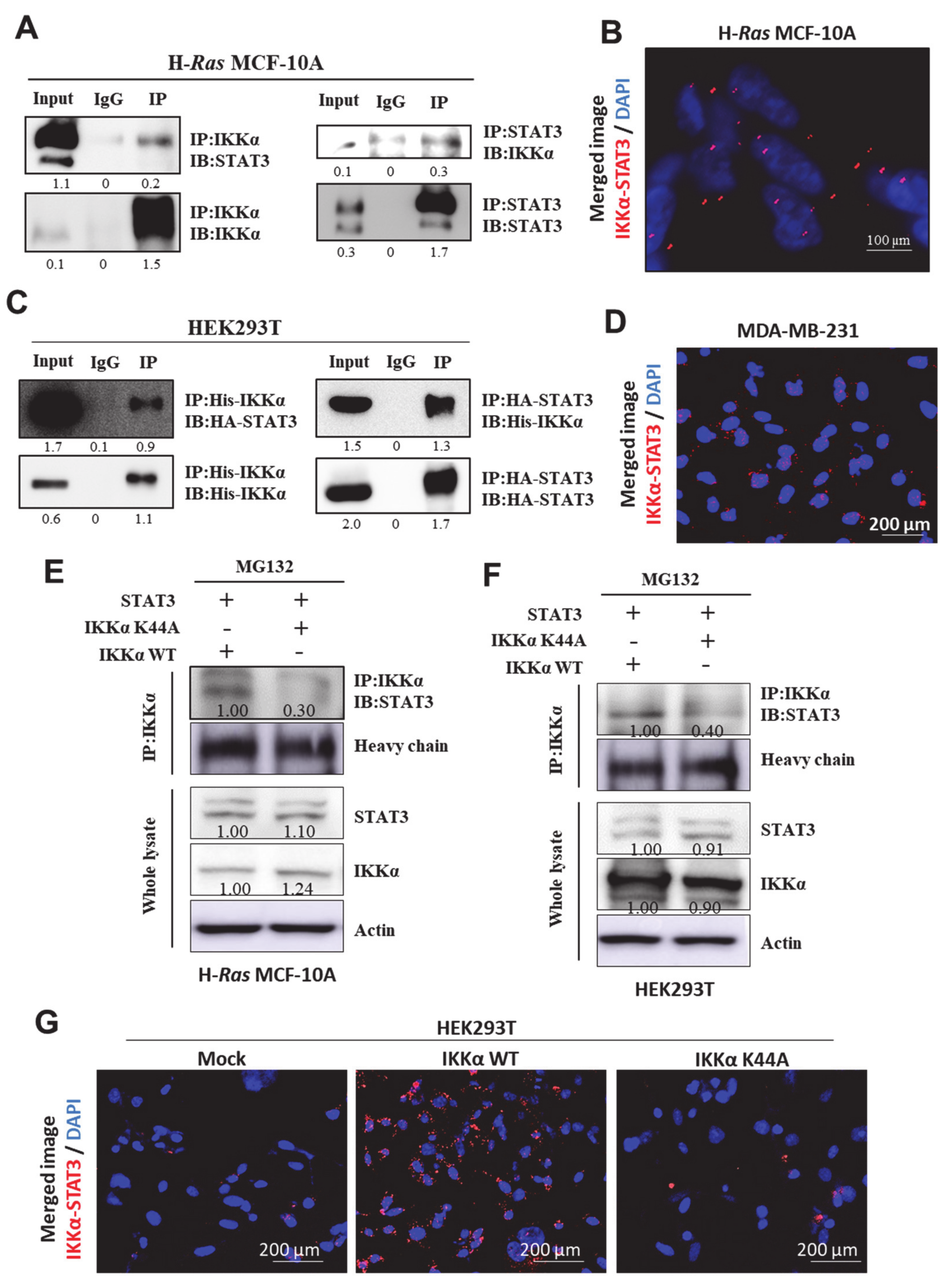 Cancers 13 00082 g005