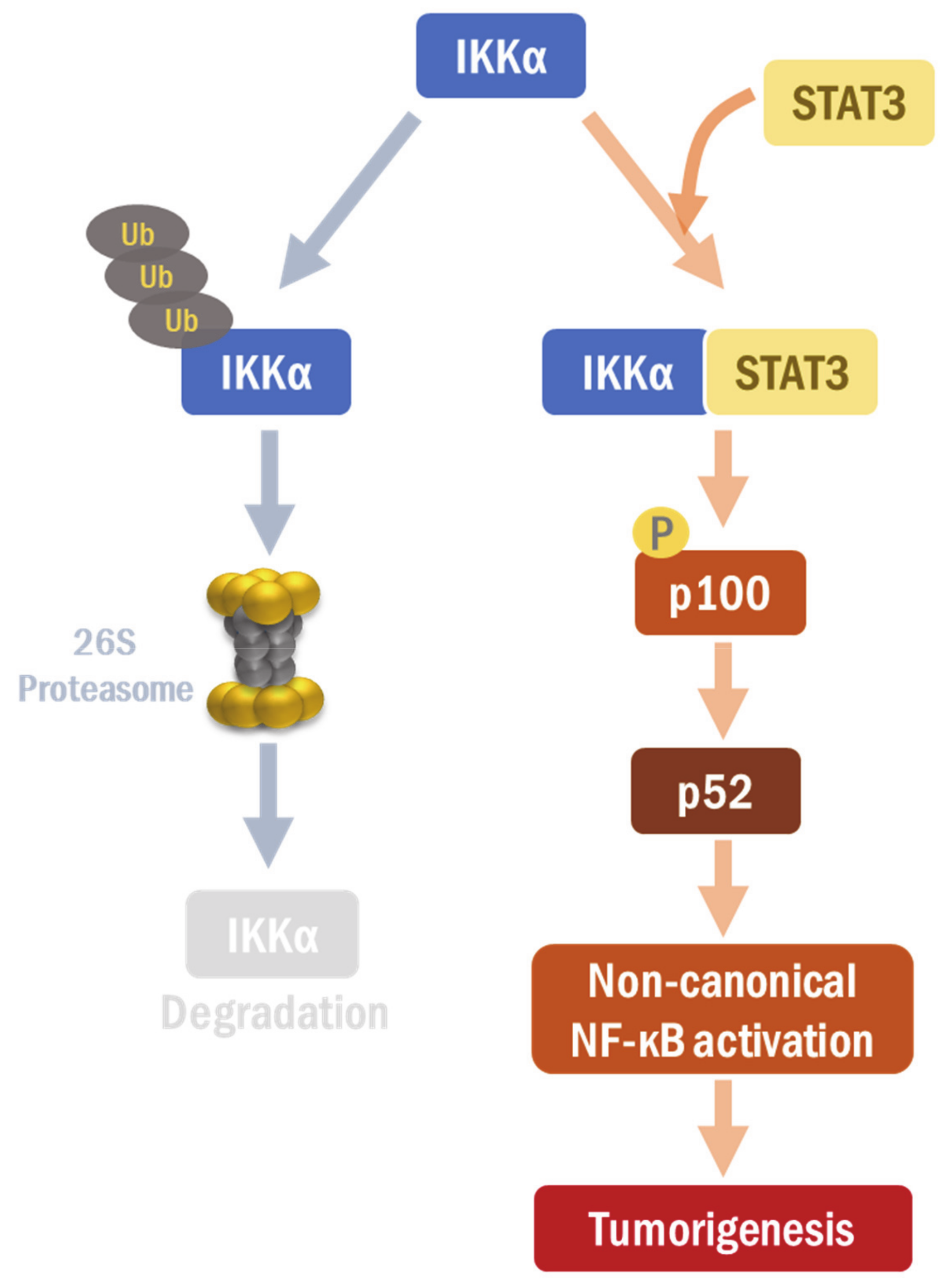 Cancers 13 00082 g006