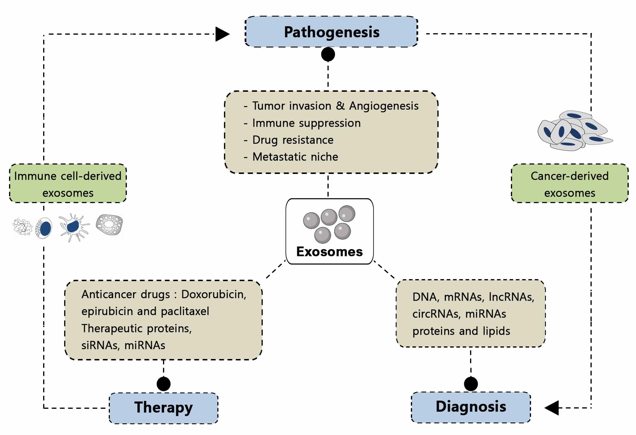 The Best 10 Examples Of squat variations tips Amateurs squat variations tips But Overlook A Few Simple Things