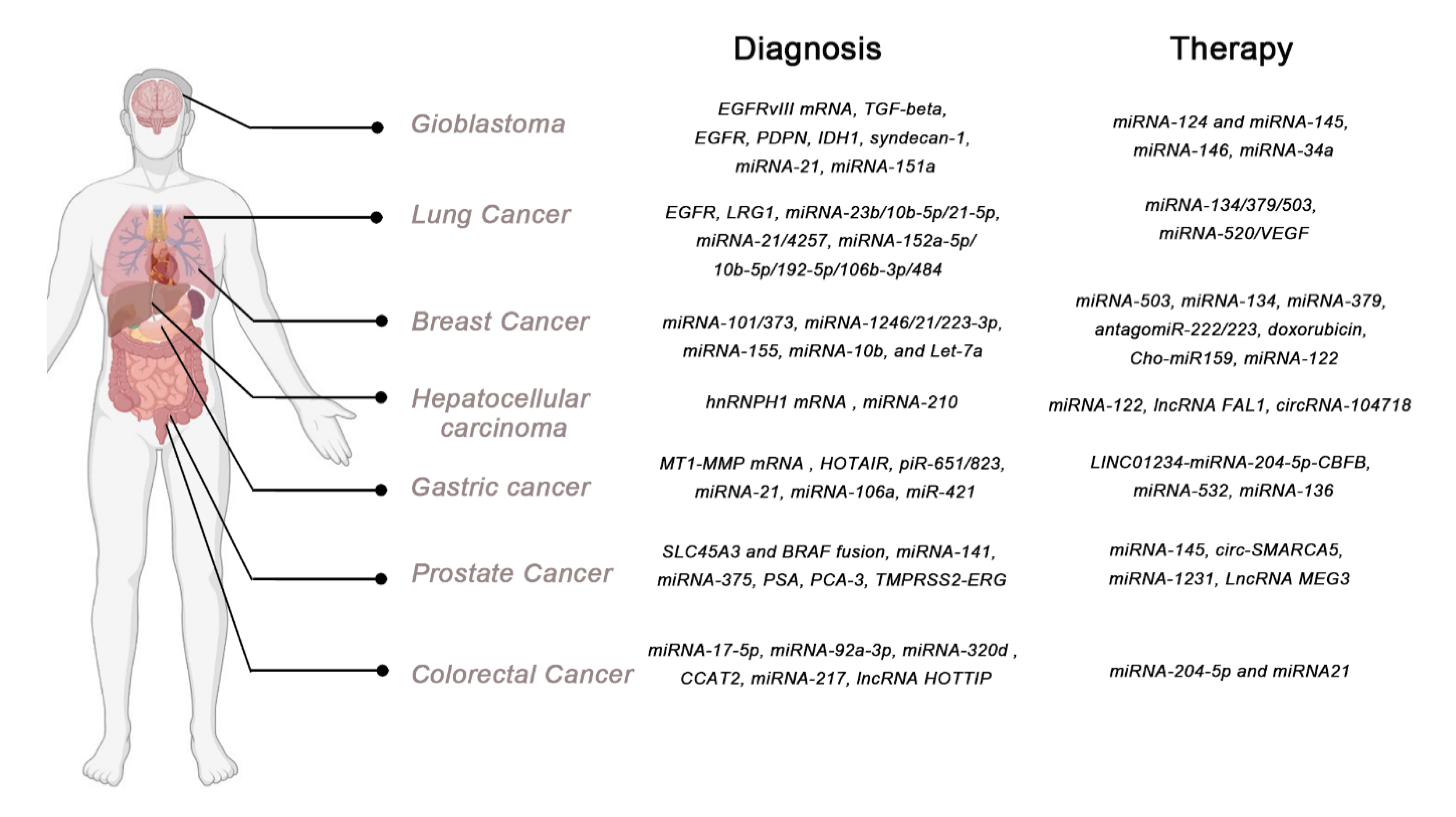 Cancers 13 00084 g003