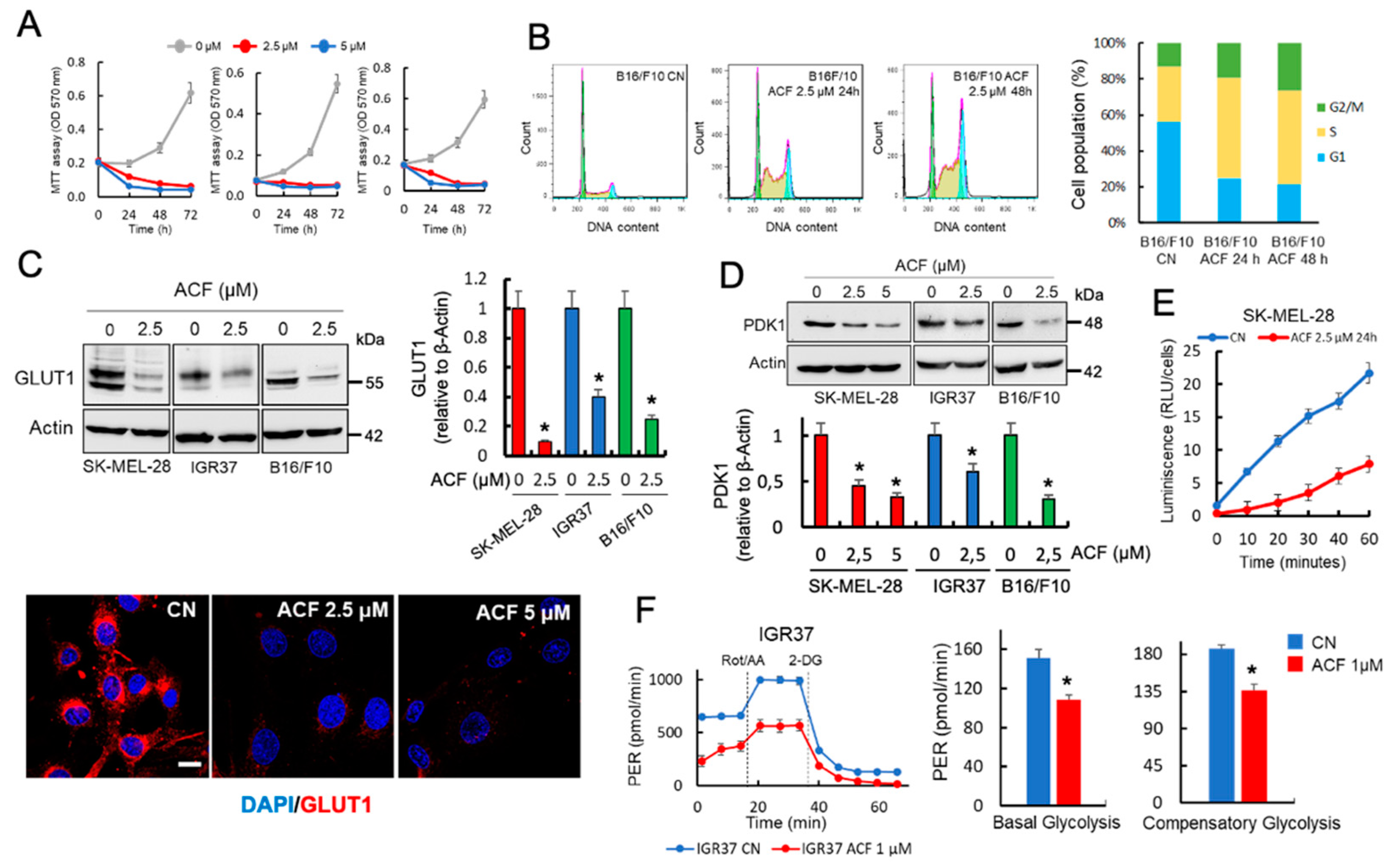 Cancers 13 00102 g001 Cancers 13 00102 g001