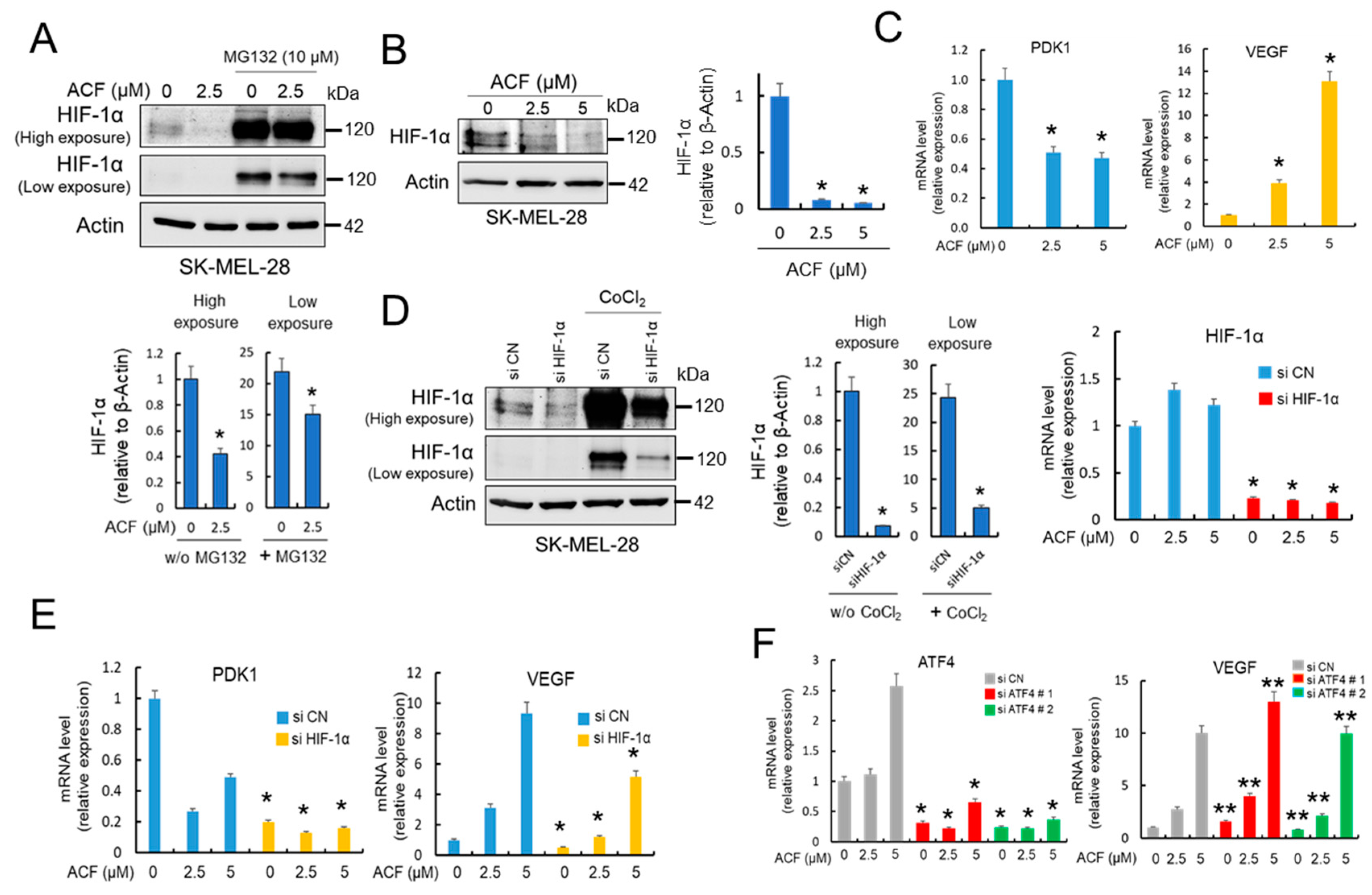 Cancers 13 00102 g002 Cancers 13 00102 g002