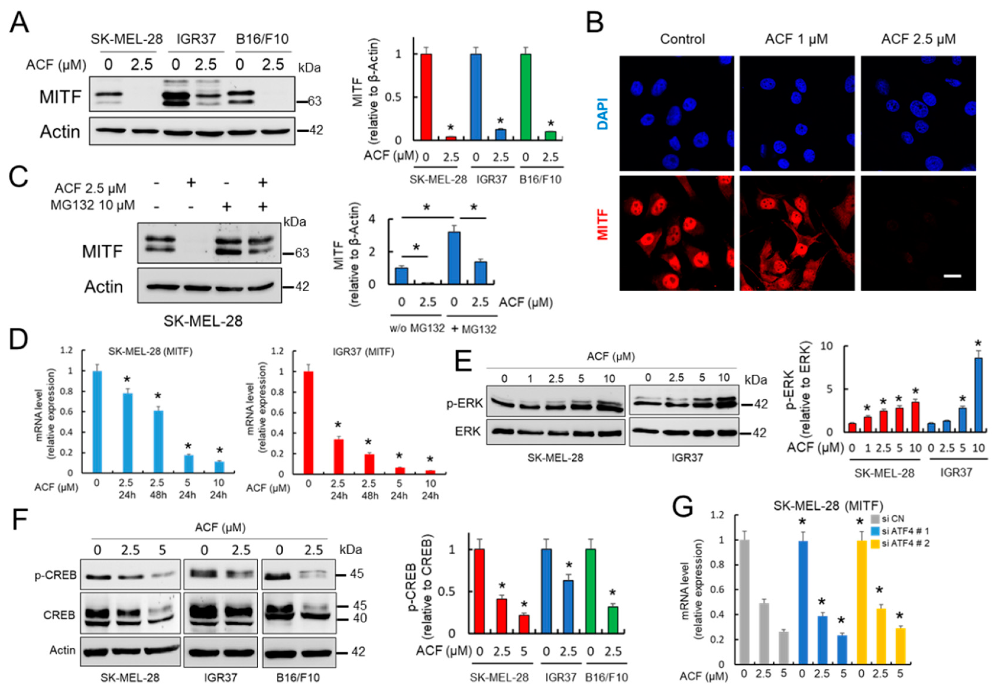 Cancers 13 00102 g003 Cancers 13 00102 g003