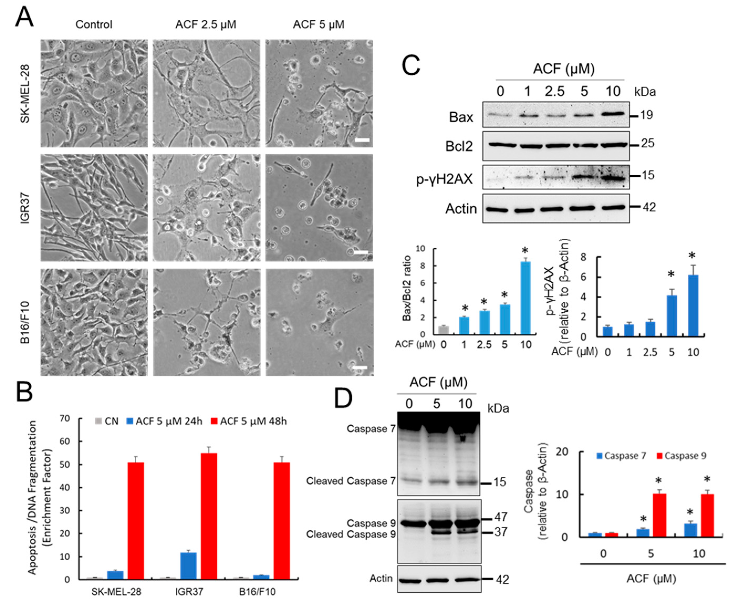 Cancers 13 00102 g005 Cancers 13 00102 g005