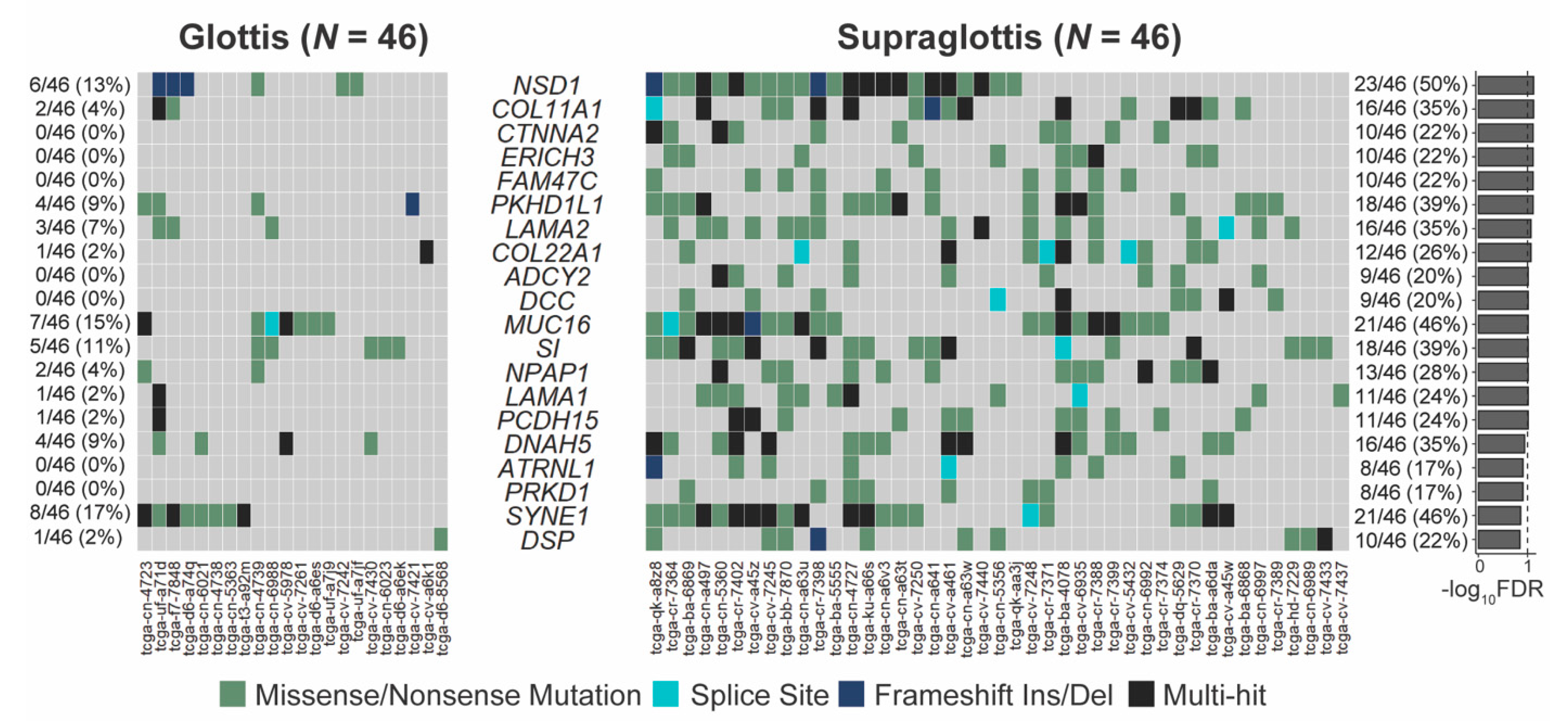 Cancers 13 00105 g002 Cancers 13 00105 g002