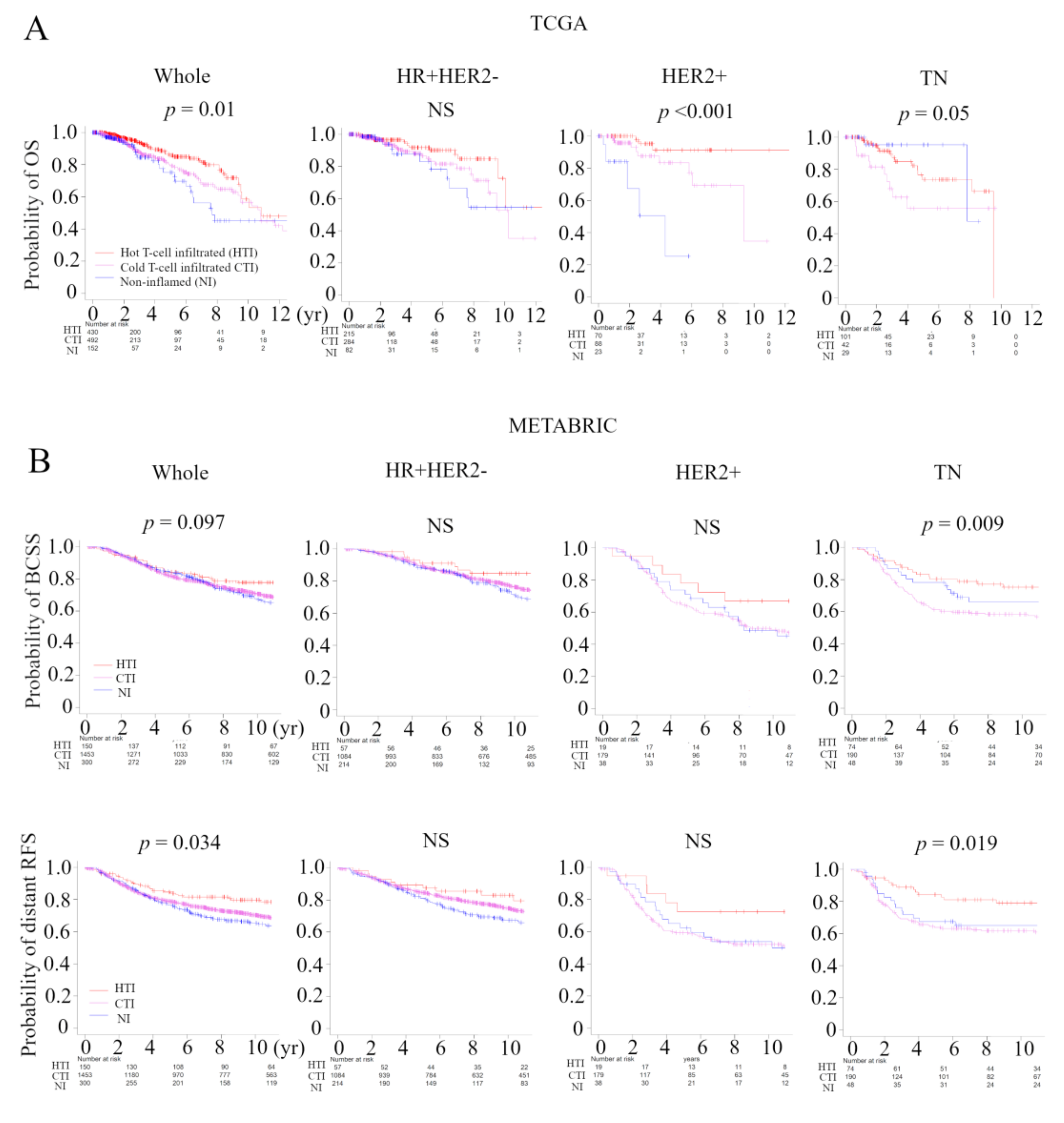 Cancers 13 00110 g005 Cancers 13 00110 g005