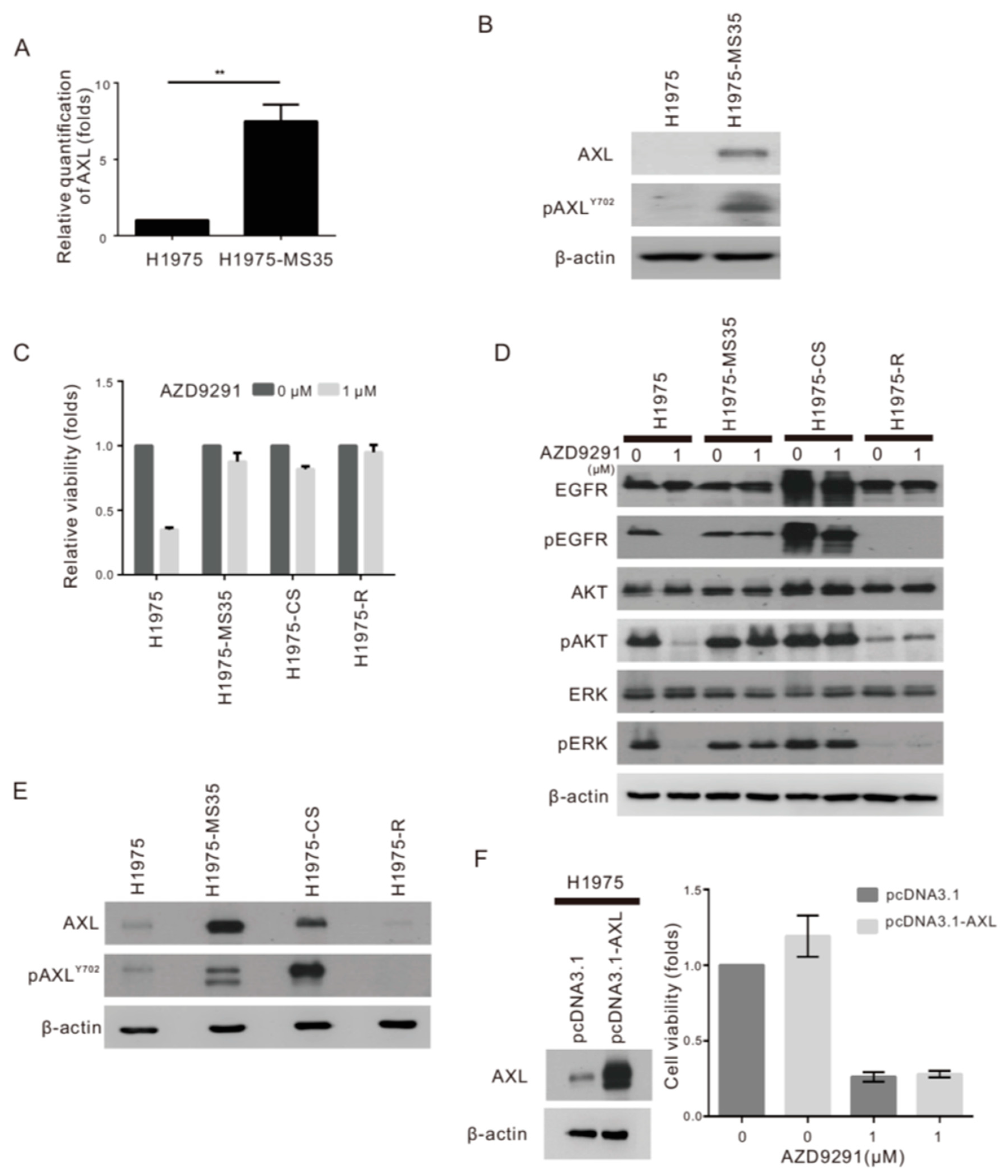 Cancers 13 00111 g002 Cancers 13 00111 g002