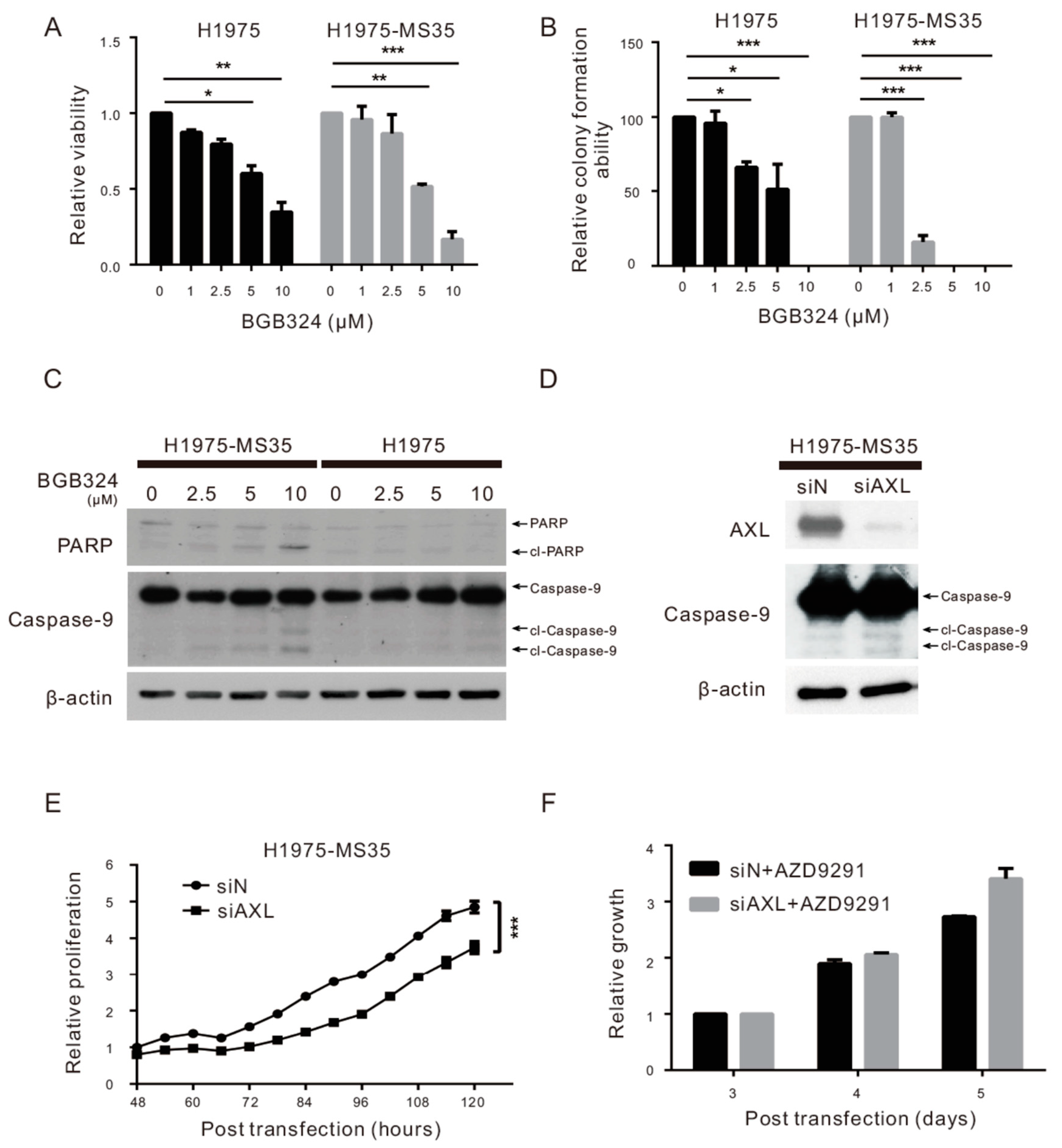 Cancers 13 00111 g003 Cancers 13 00111 g003