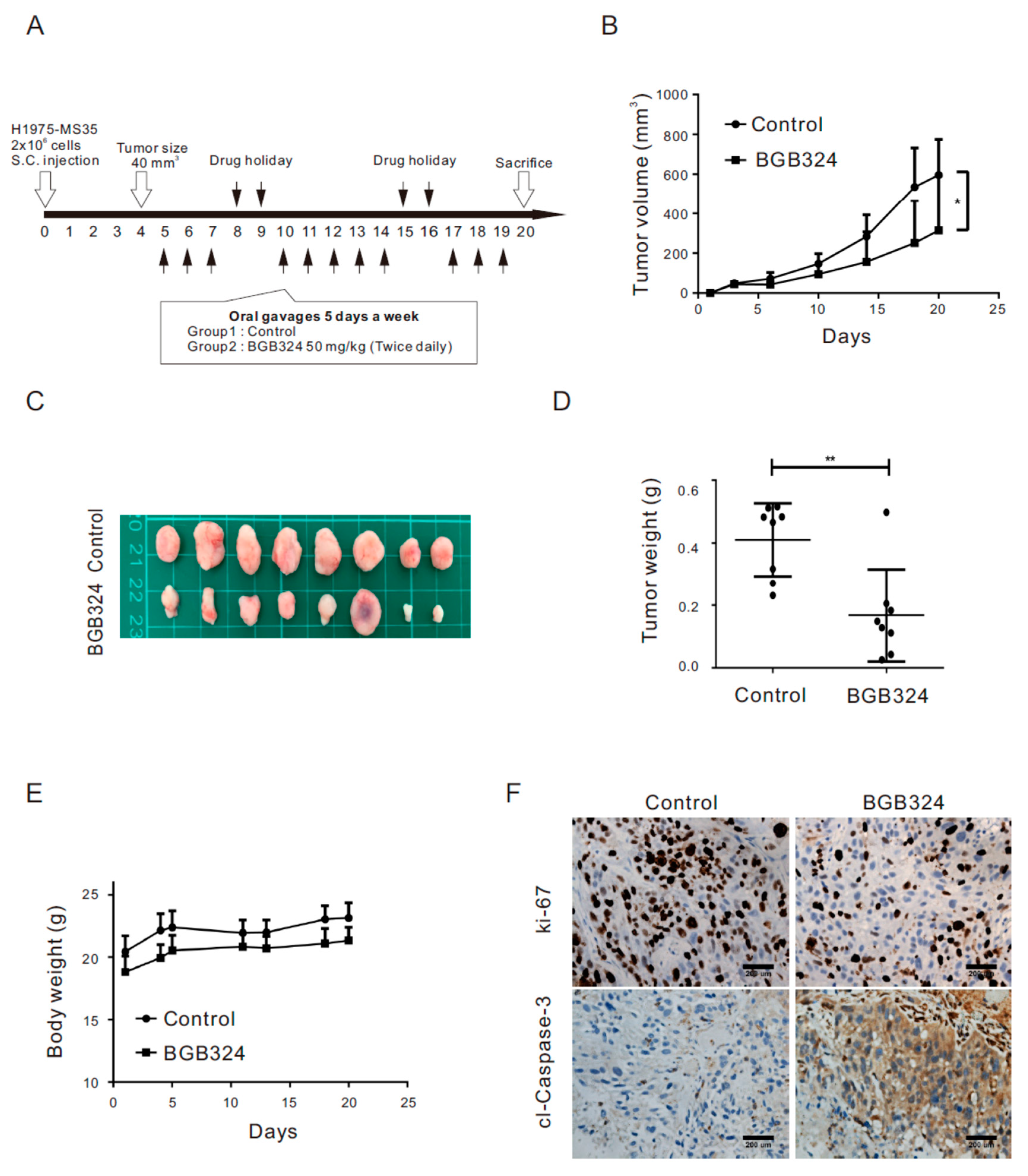 Cancers 13 00111 g004 Cancers 13 00111 g004