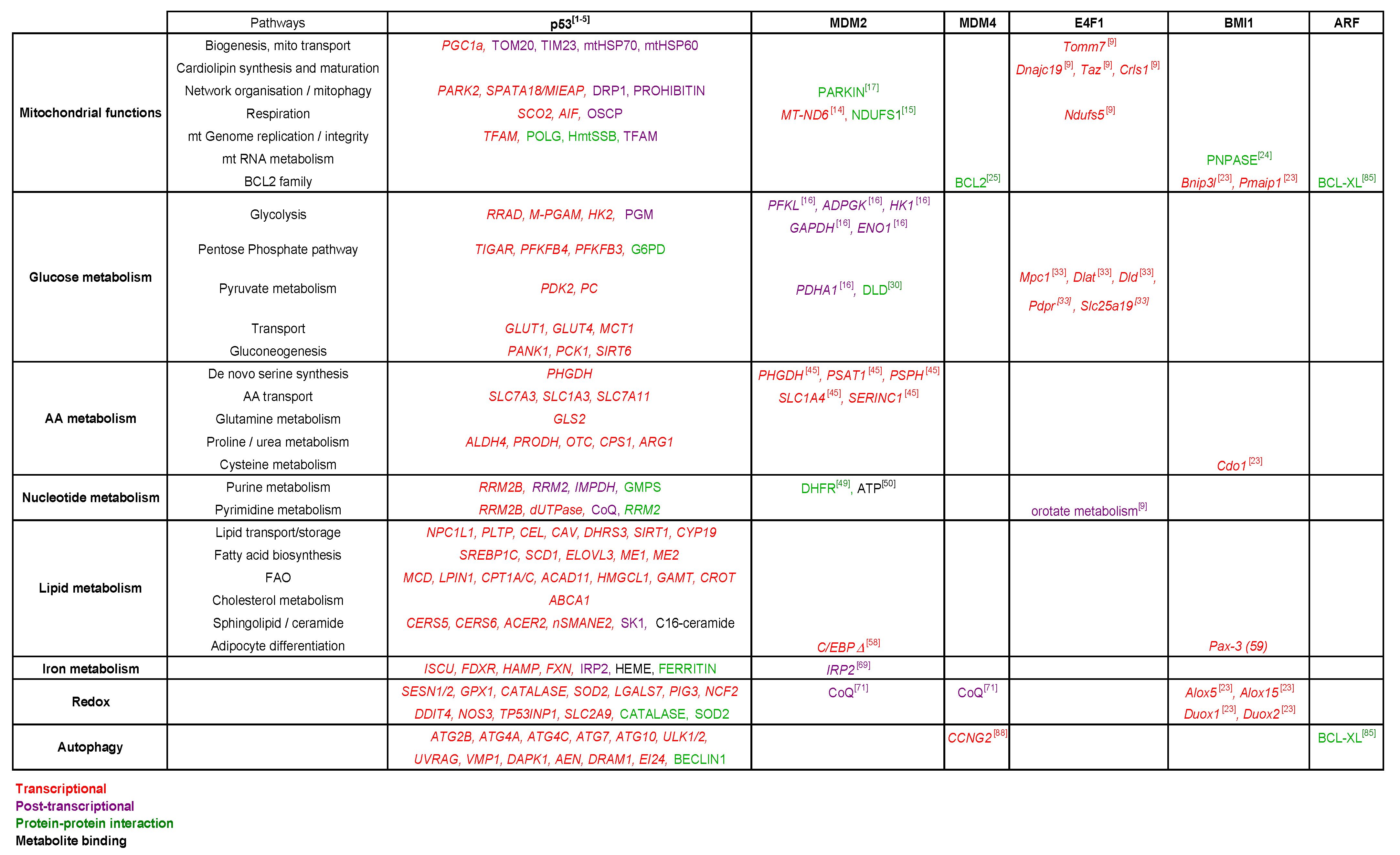 Cancers 13 00133 g004