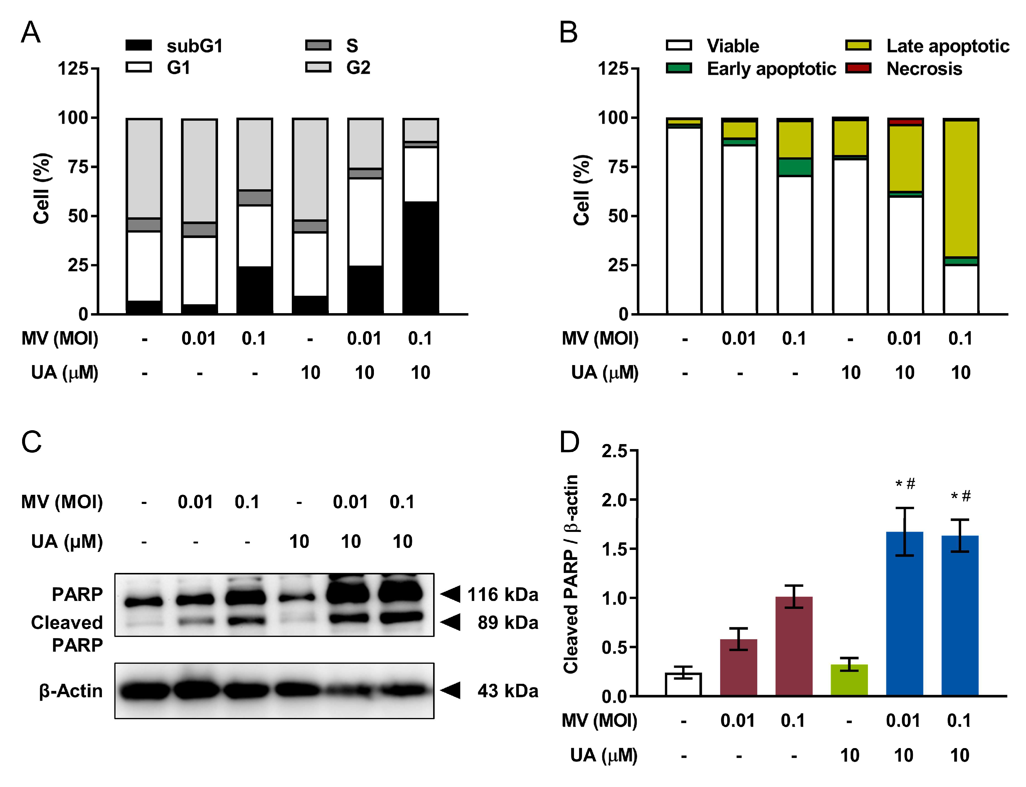 Cancers 13 00136 g003 Cancers 13 00136 g003