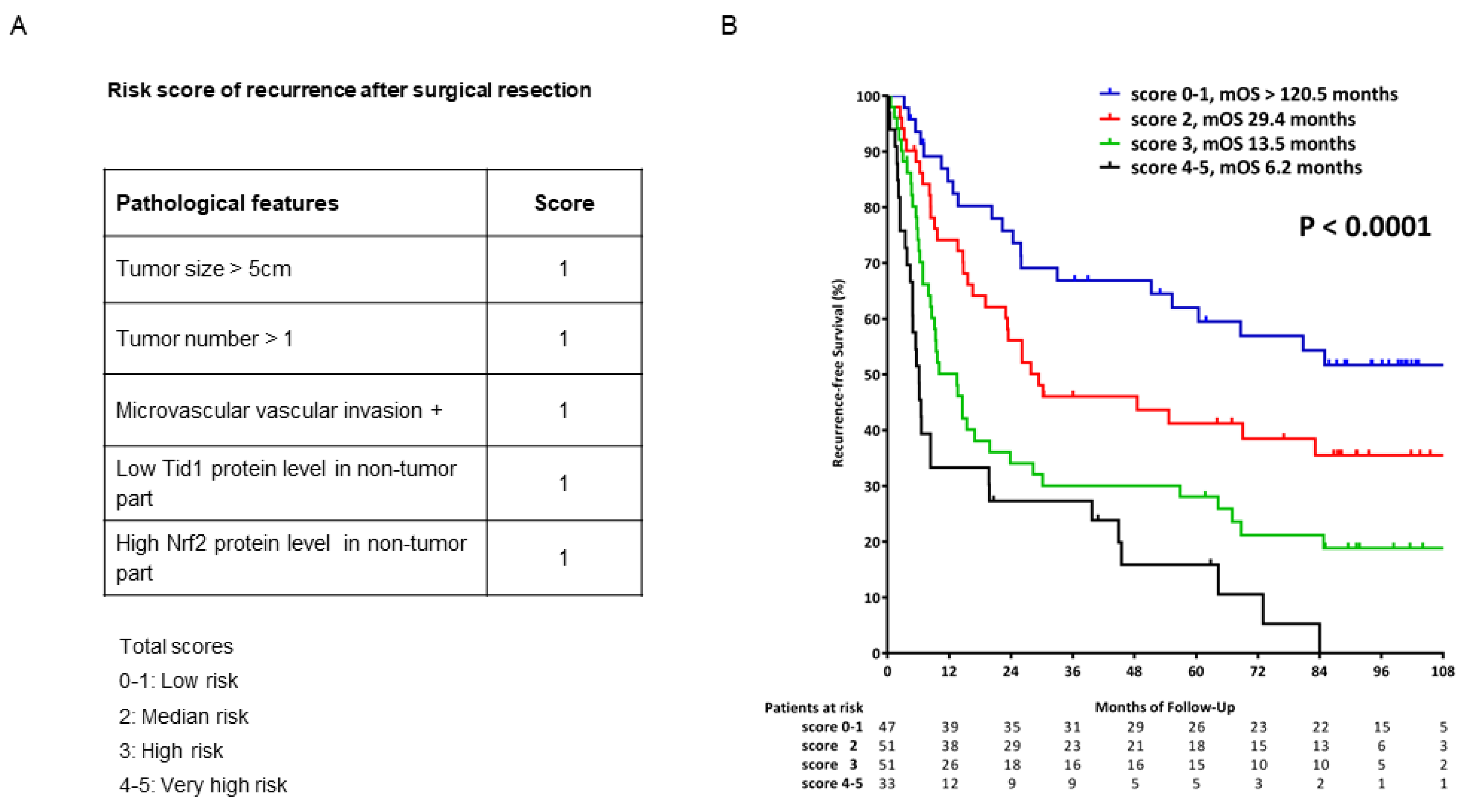 Cancers 13 00138 g004 Cancers 13 00138 g004