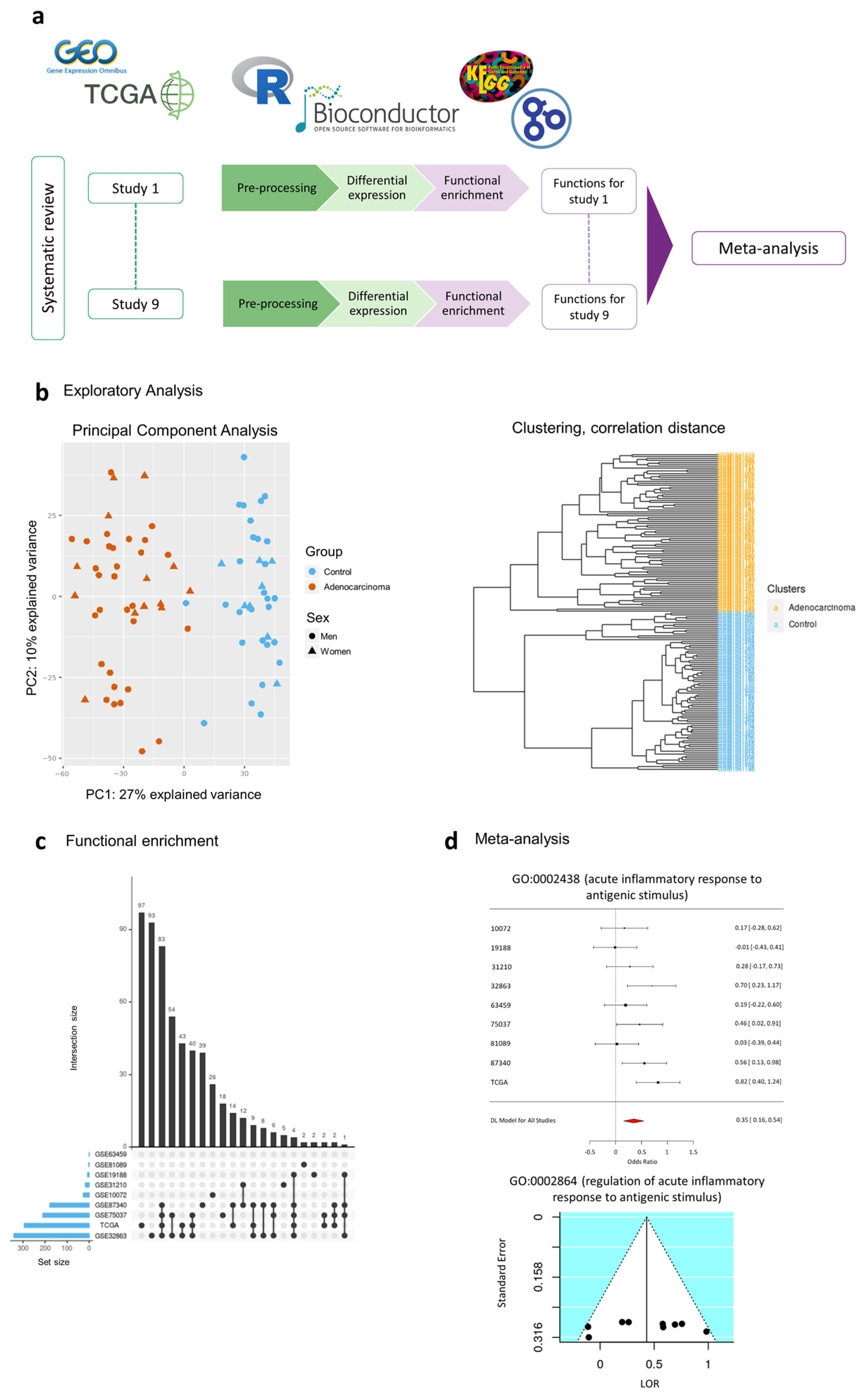 Cancers 13 00143 g005 Cancers 13 00143 g005