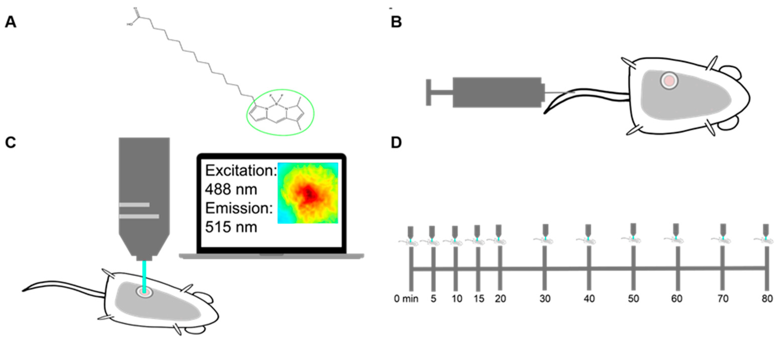 Cancers 13 00148 g001 Cancers 13 00148 g001