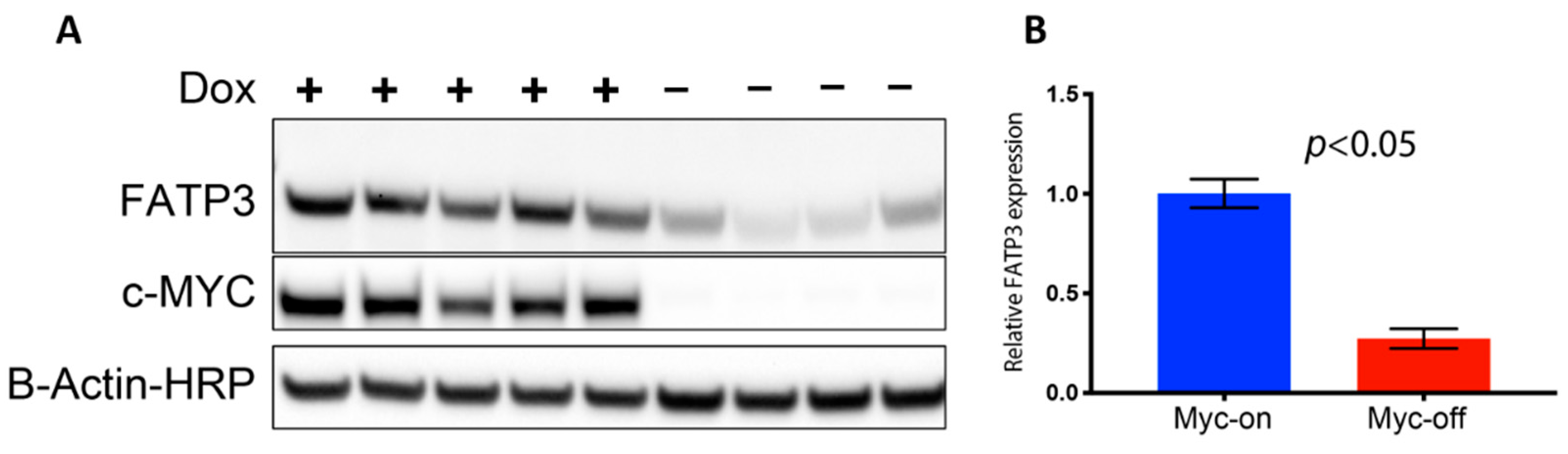 Cancers 13 00148 g003 Cancers 13 00148 g003