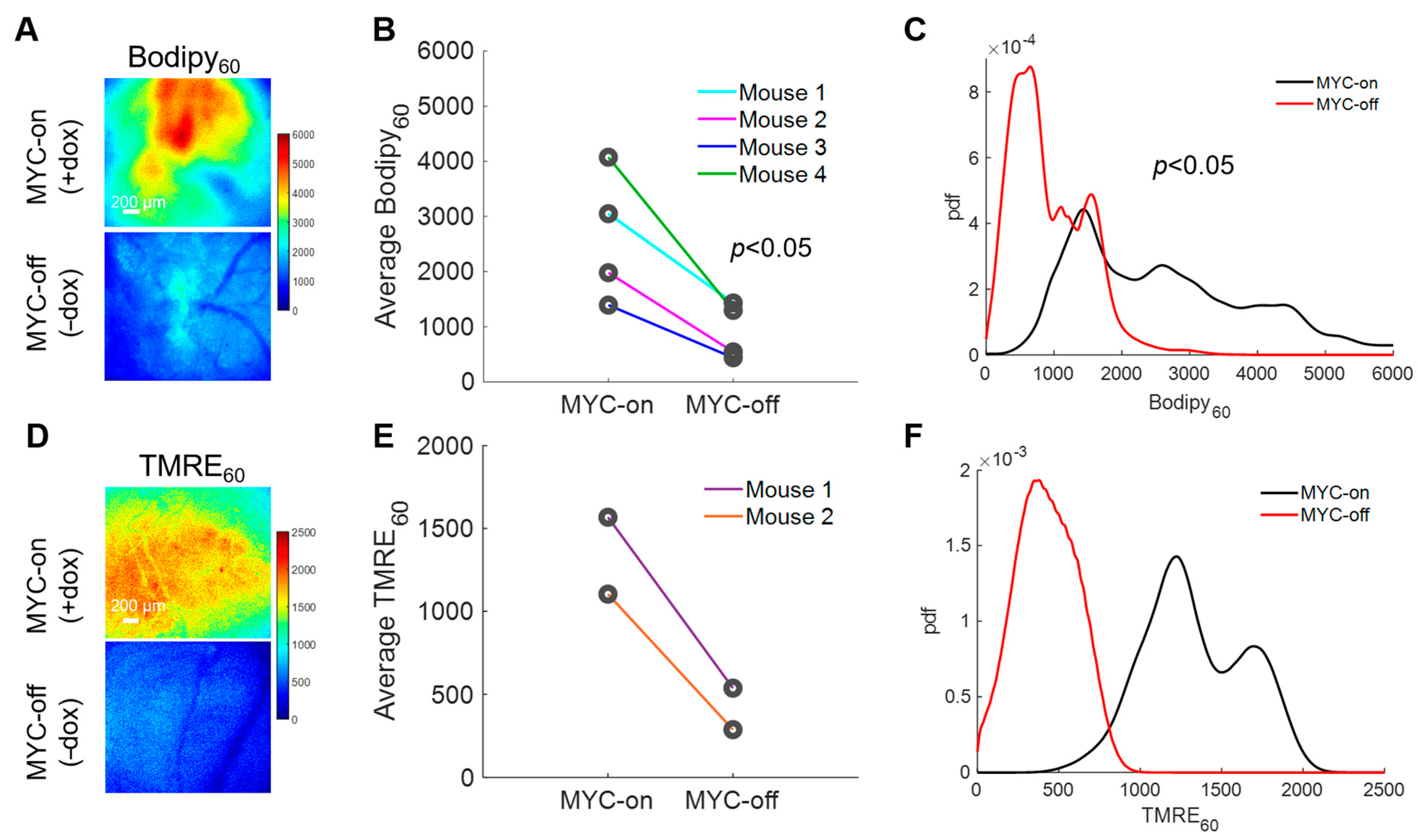 Cancers 13 00148 g004 Cancers 13 00148 g004