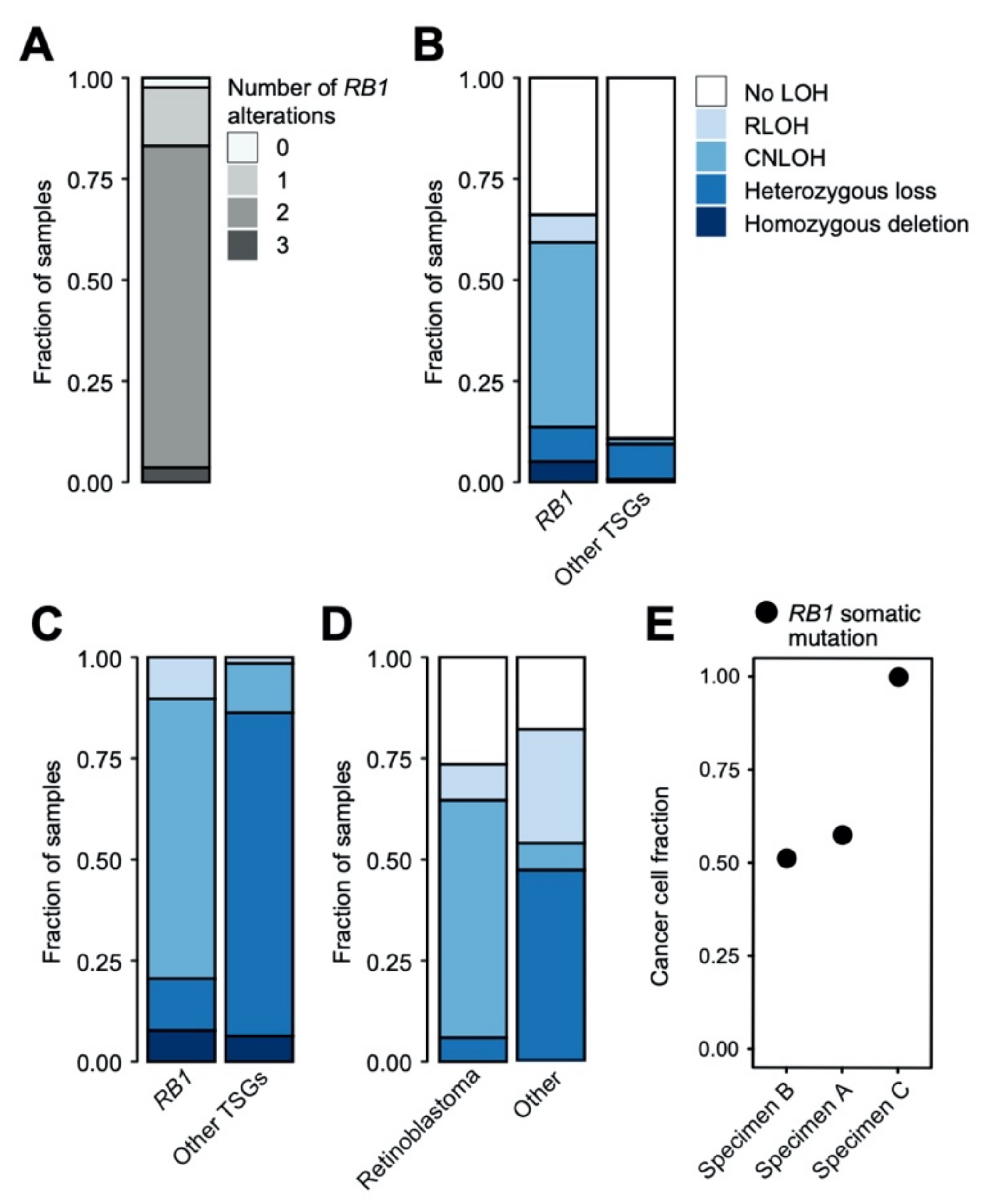 Cancers 13 00149 g002 Cancers 13 00149 g002