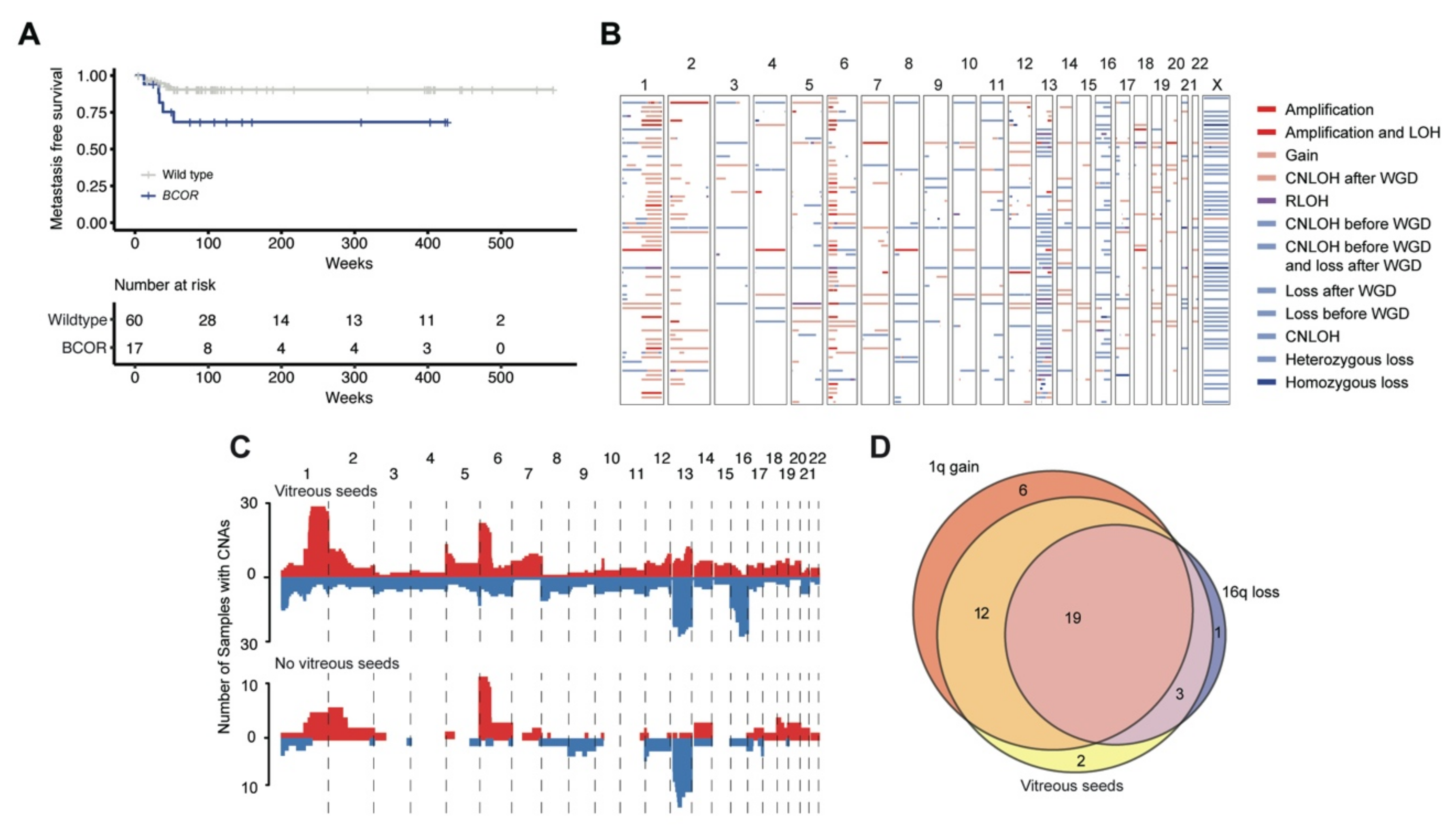 Cancers 13 00149 g003 Cancers 13 00149 g003