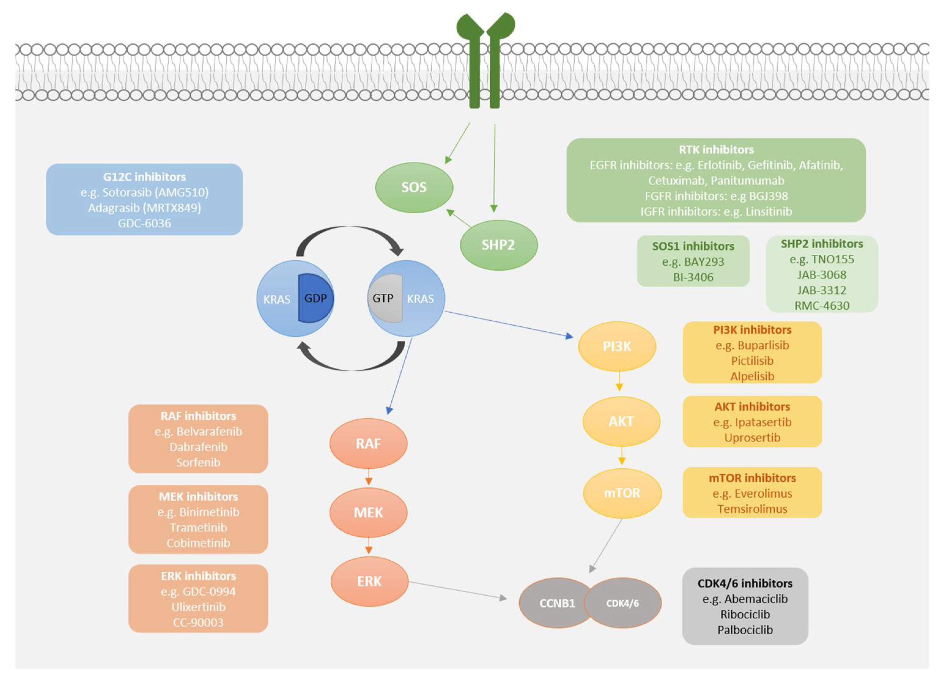 Cancers 13 00151 g001 Cancers 13 00151 g001