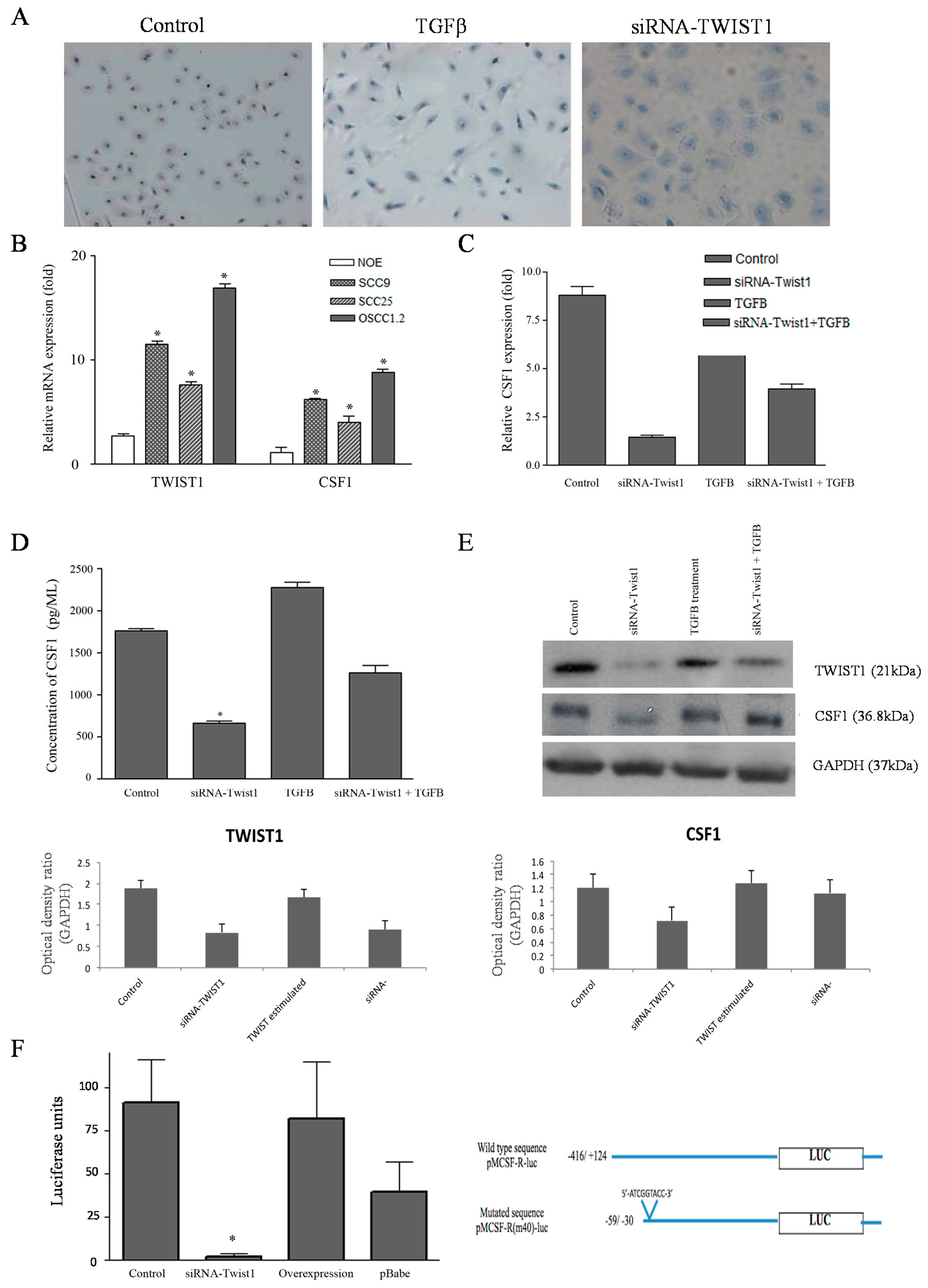 Cancers 13 00153 g003 Cancers 13 00153 g003