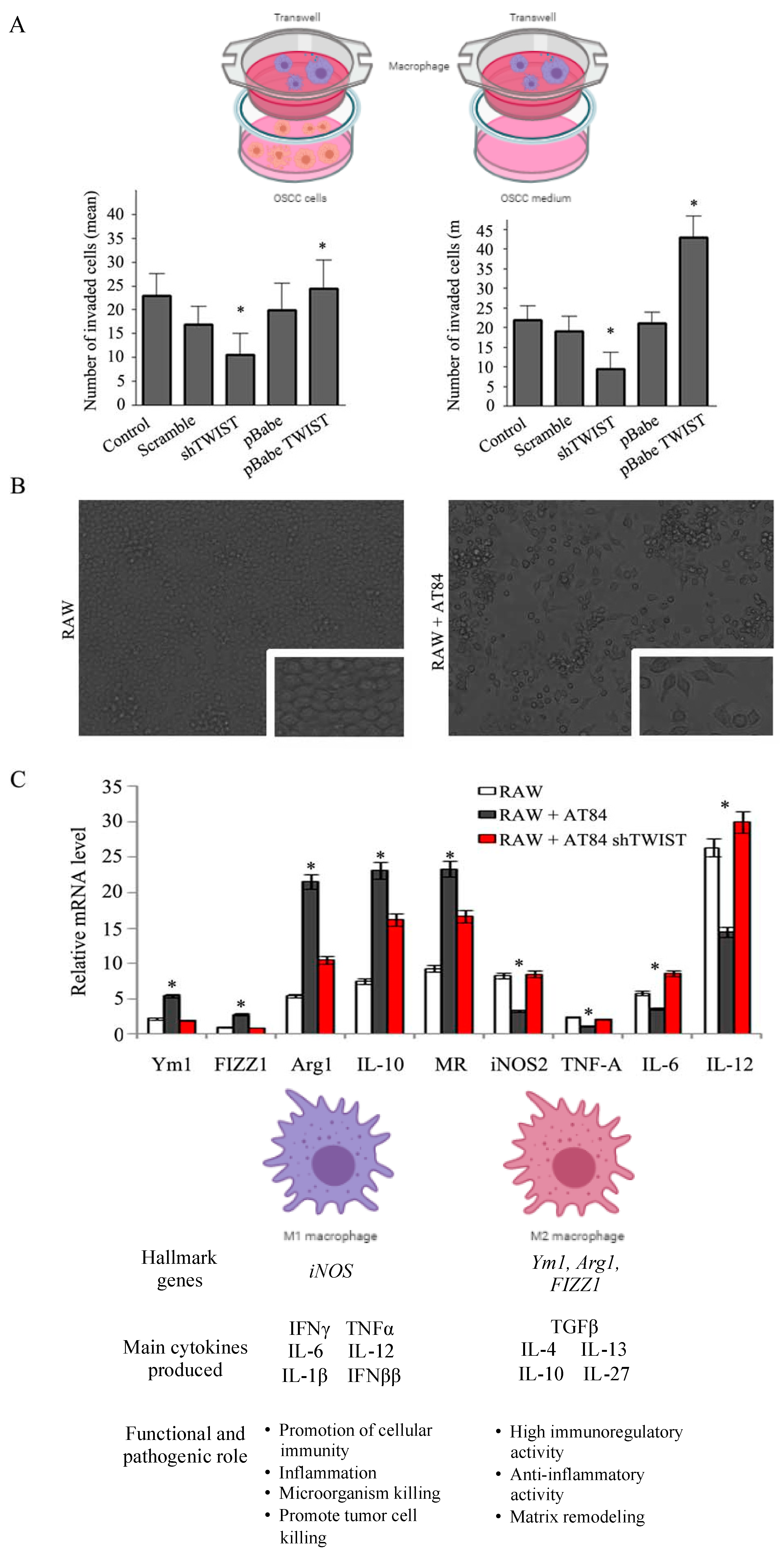 Cancers 13 00153 g004 Cancers 13 00153 g004