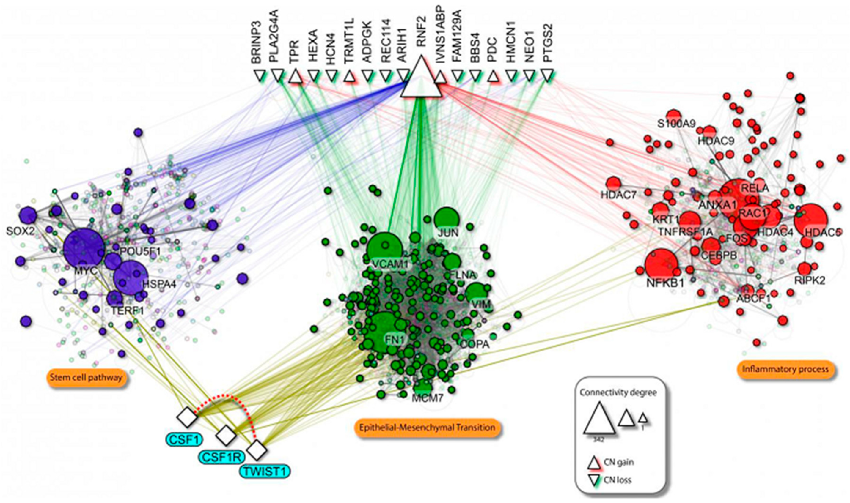 Cancers 13 00153 g007 Cancers 13 00153 g007