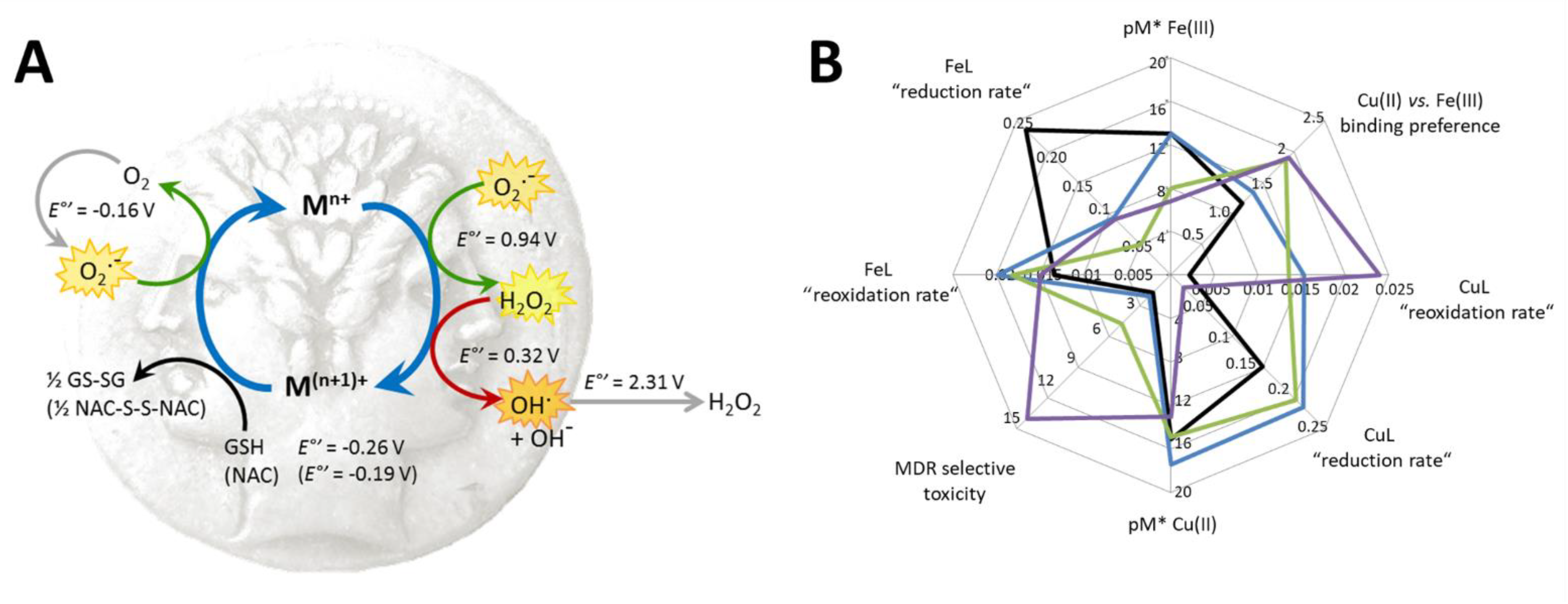 Cancers 13 00154 g008 Cancers 13 00154 g008