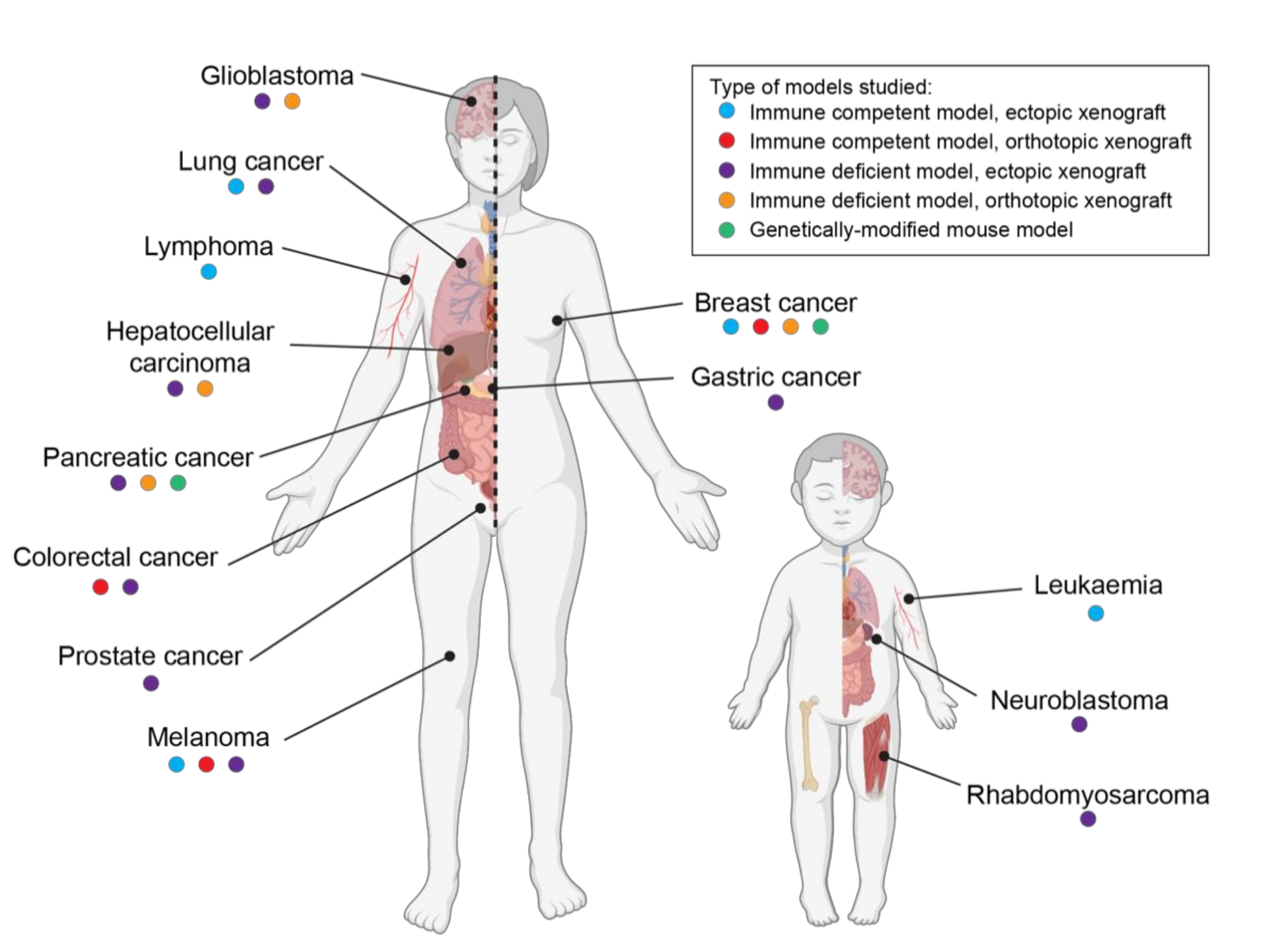 Cancers 13 00157 g002