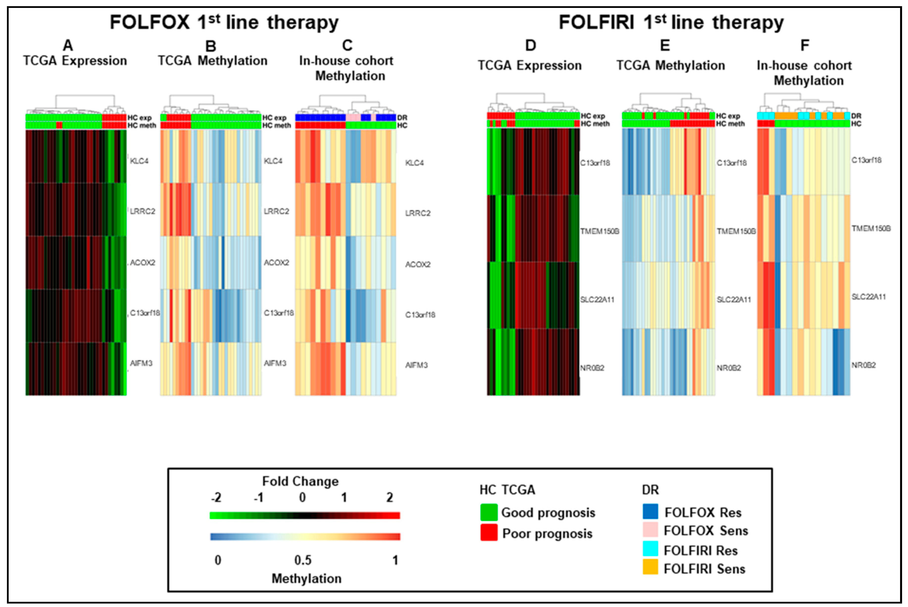 Cancers 13 00158 g002 Cancers 13 00158 g002