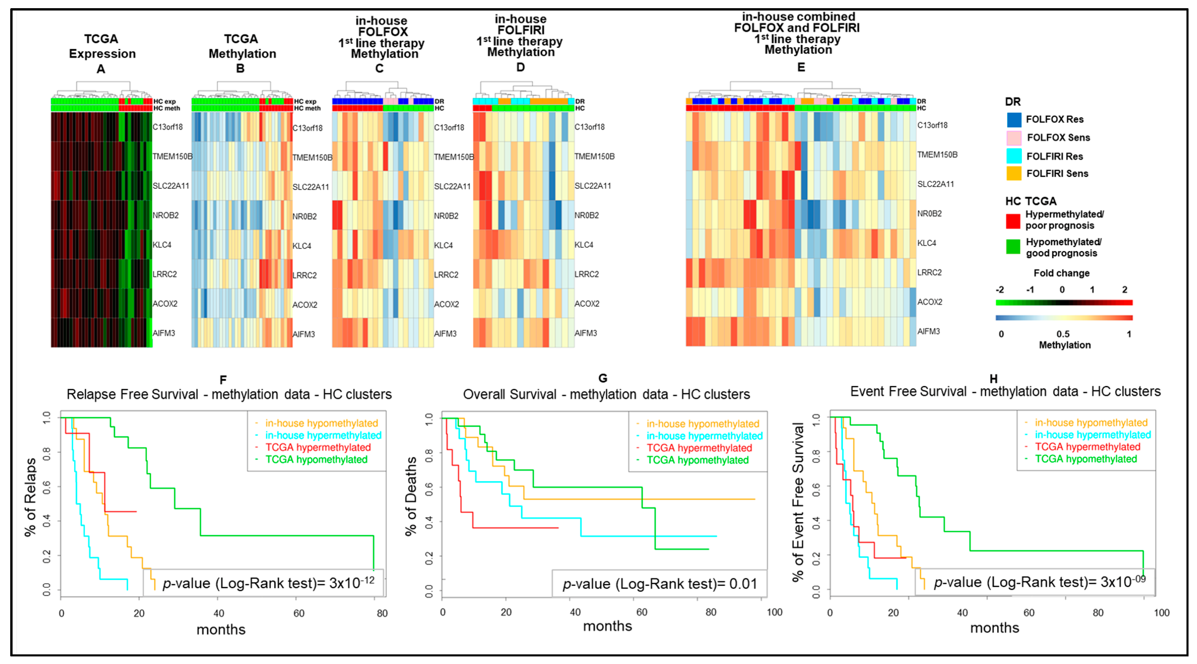 Cancers 13 00158 g003 Cancers 13 00158 g003